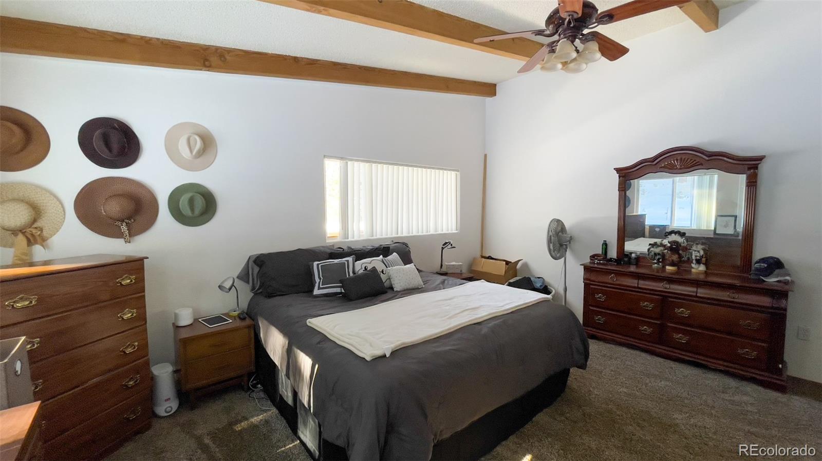 MLS Image #10 for 25354 n turkey creek road,evergreen, Colorado