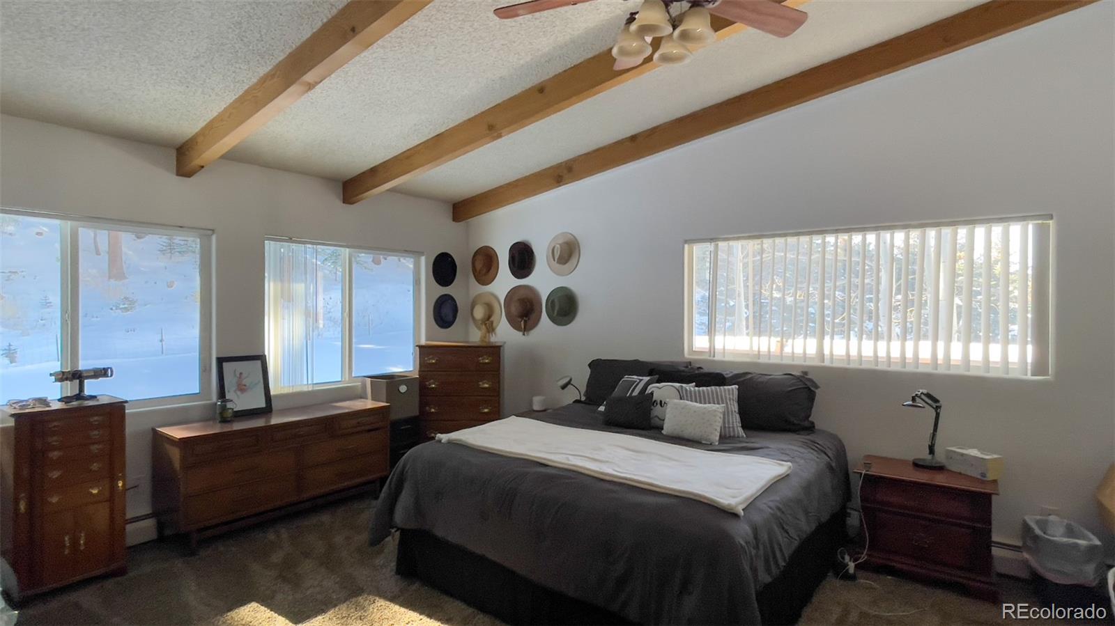 MLS Image #11 for 25354 n turkey creek road,evergreen, Colorado
