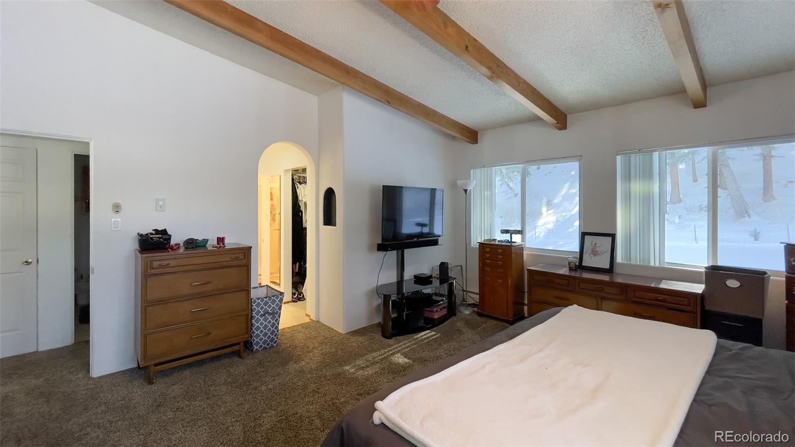 MLS Image #12 for 25354 n turkey creek road,evergreen, Colorado