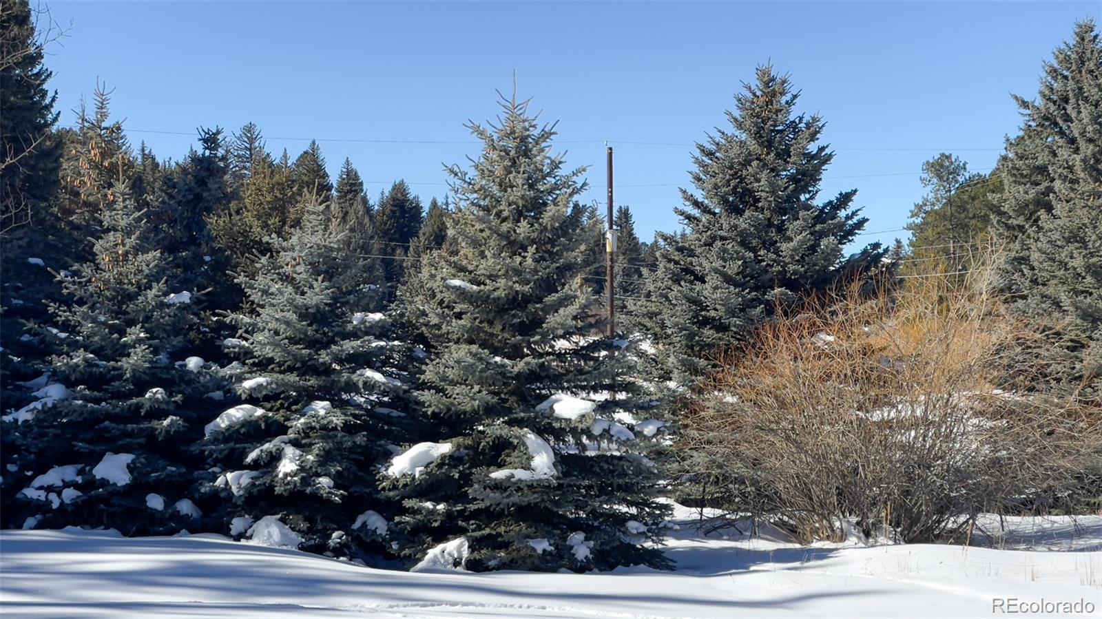 MLS Image #28 for 25354 n turkey creek road,evergreen, Colorado