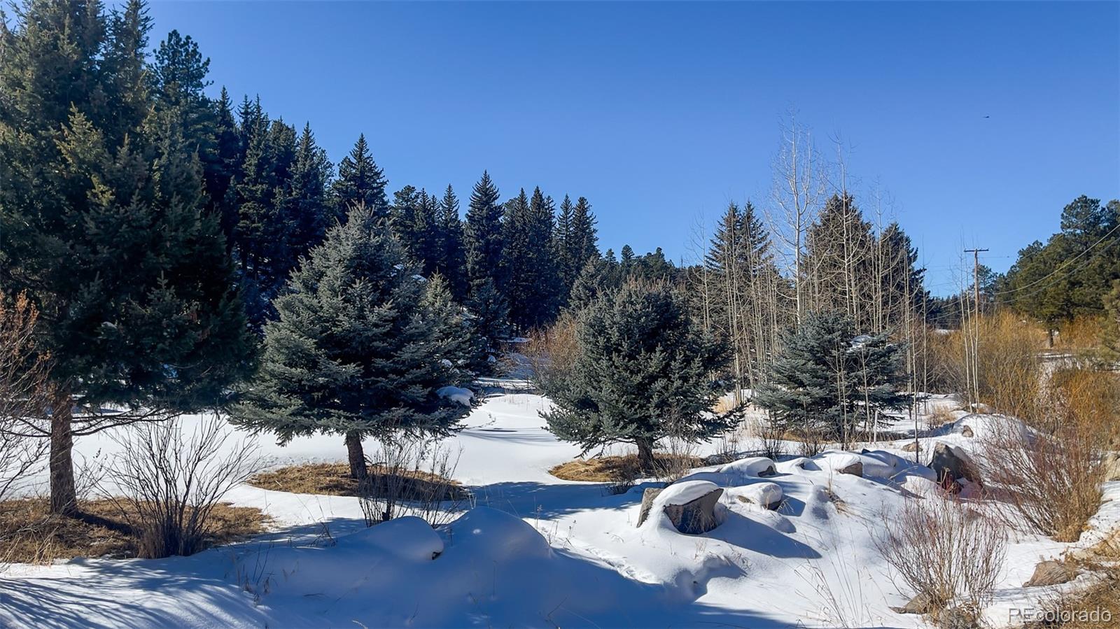 MLS Image #29 for 25354 n turkey creek road,evergreen, Colorado