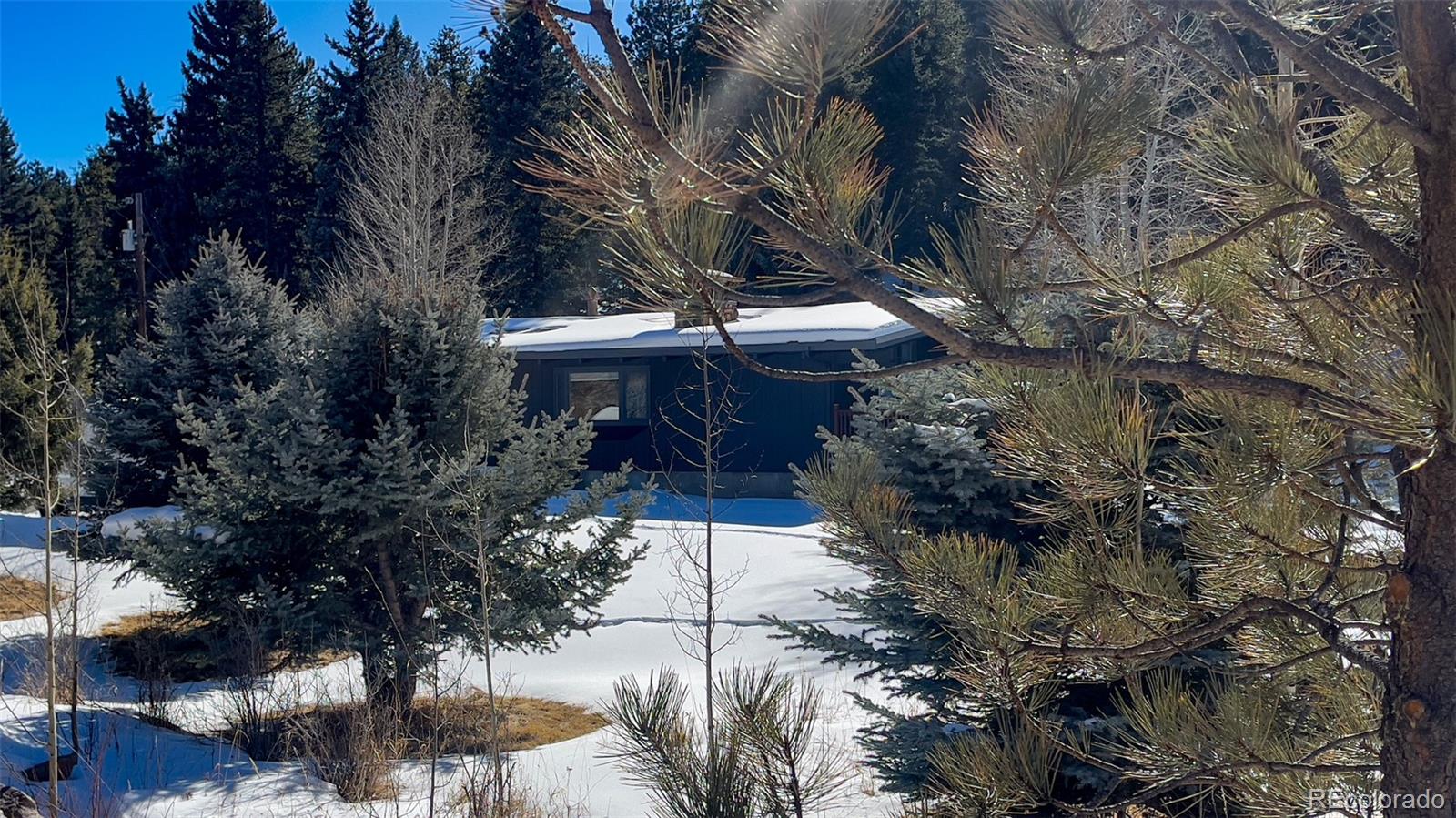 MLS Image #30 for 25354 n turkey creek road,evergreen, Colorado