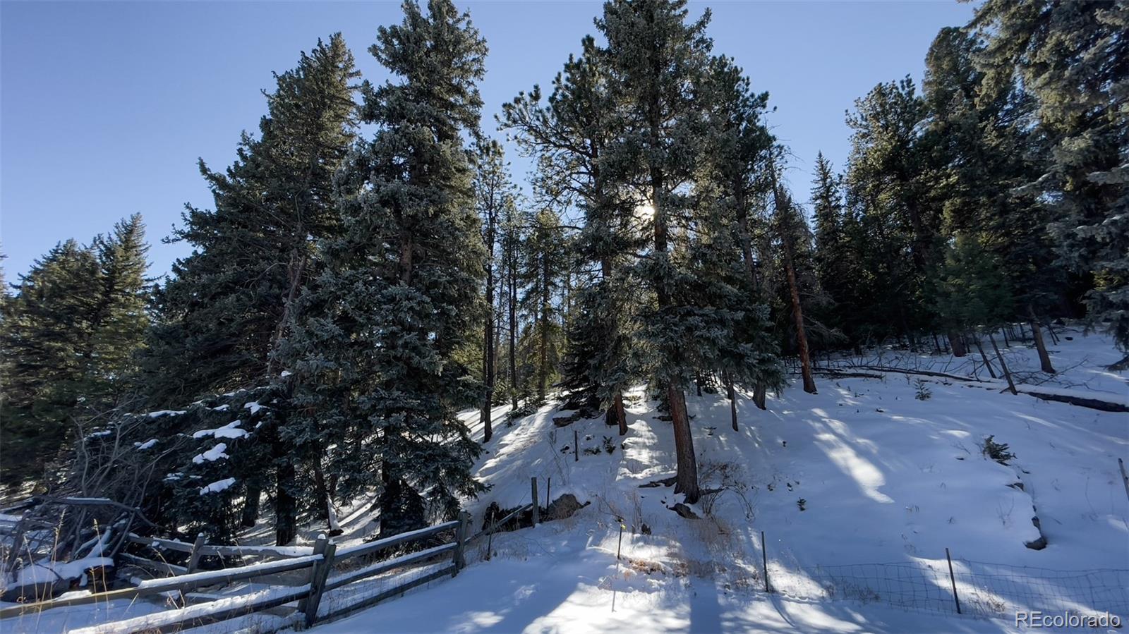 MLS Image #31 for 25354 n turkey creek road,evergreen, Colorado