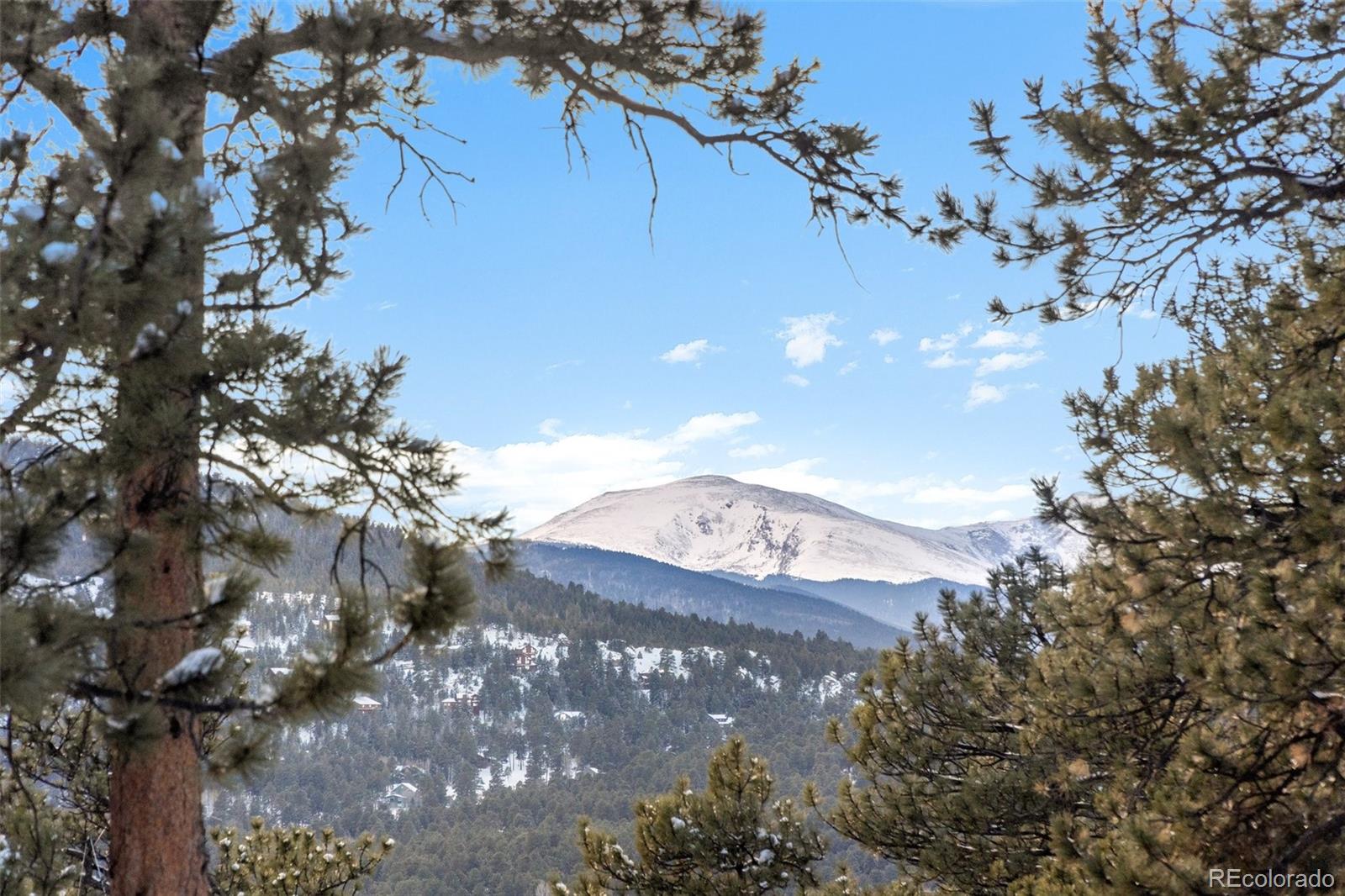 MLS Image #1 for 4831  forest hill road,evergreen, Colorado