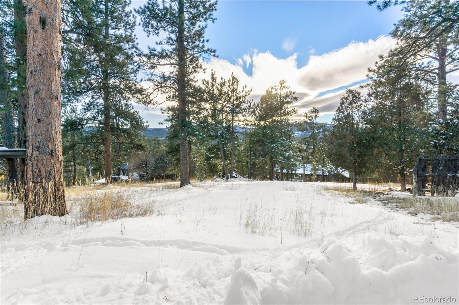 MLS Image #34 for 4831  forest hill road,evergreen, Colorado