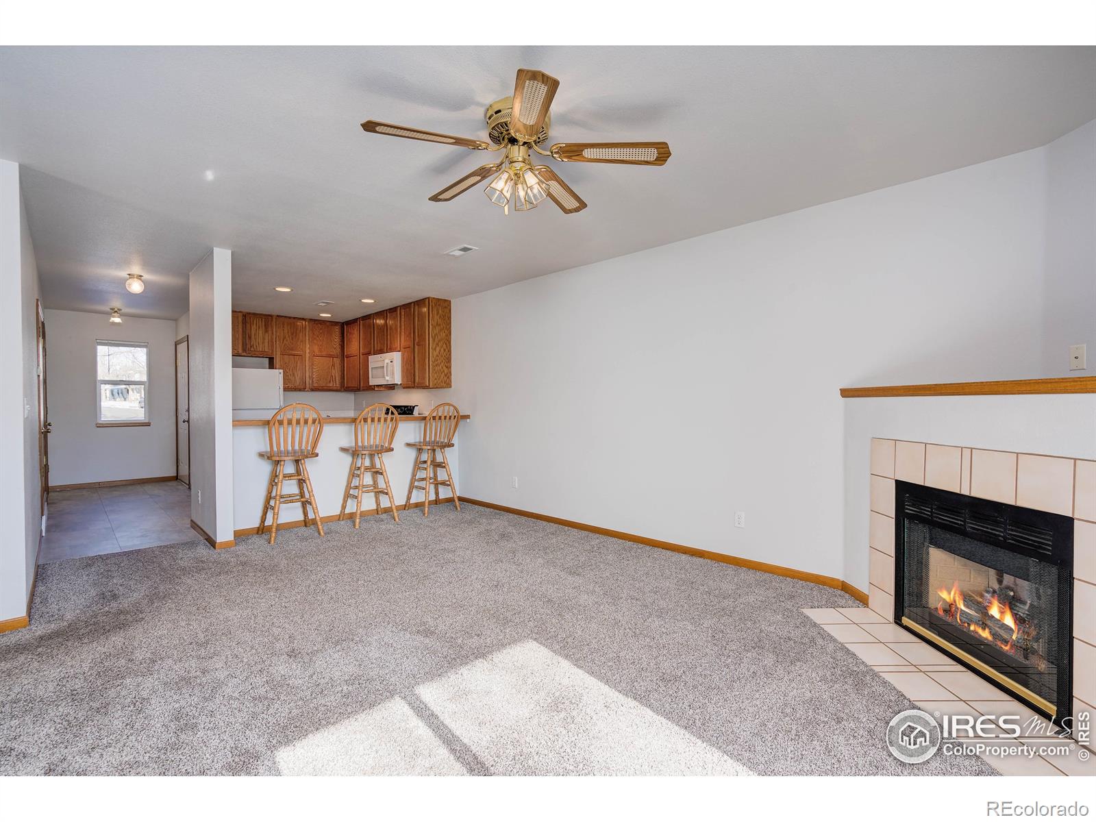 MLS Image #5 for 1054  tierra lane,fort collins, Colorado