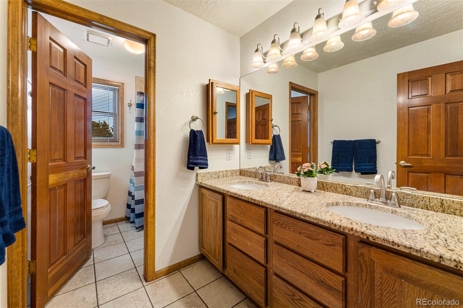 MLS Image #18 for 457 n faver drive,castle rock, Colorado