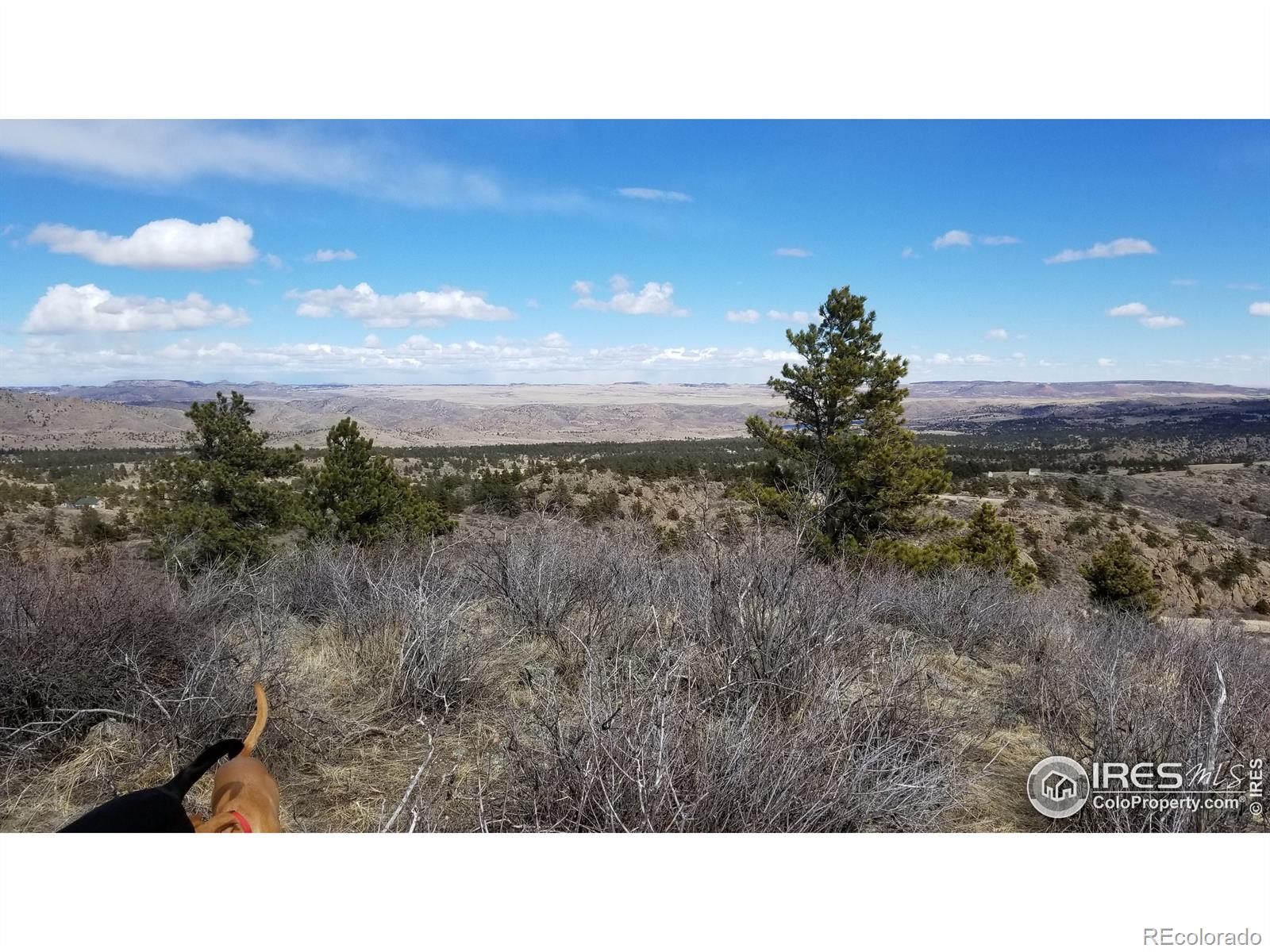 MLS Image #3 for 1952 w county road 82e road,livermore, Colorado