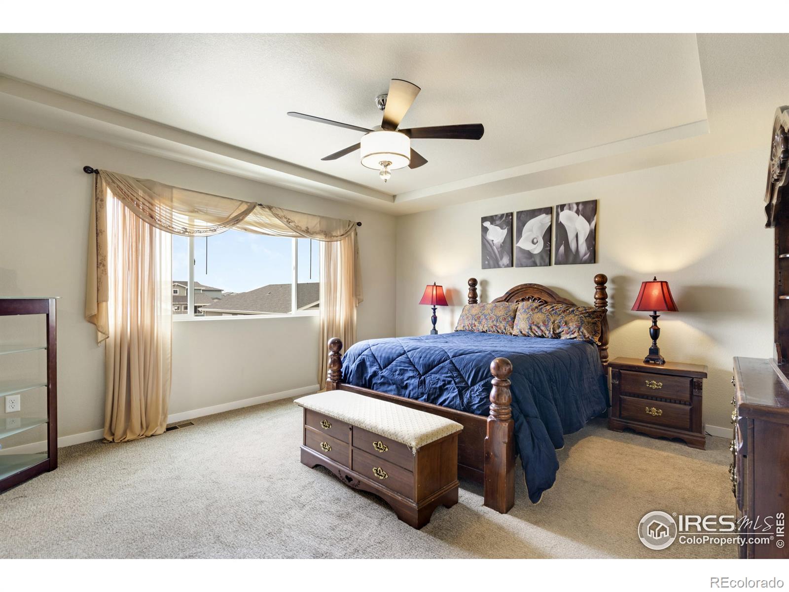 MLS Image #16 for 3816  river birch street,wellington, Colorado