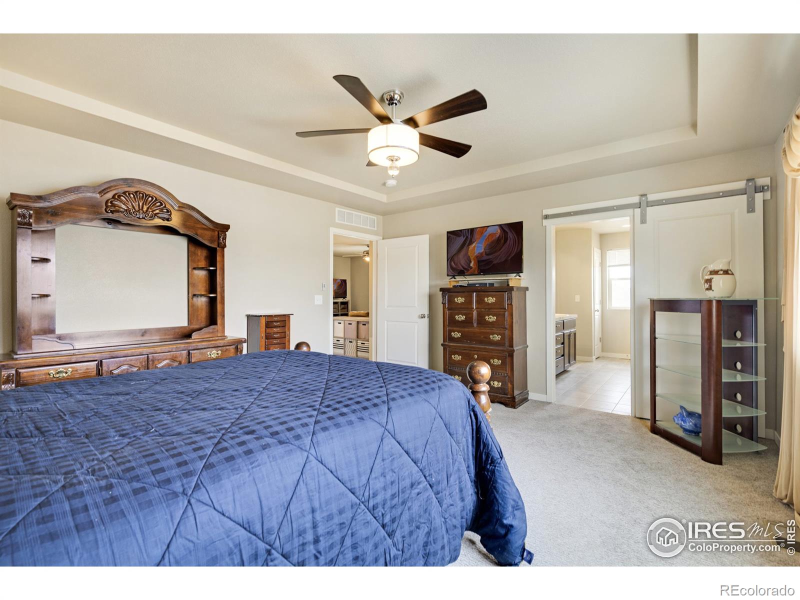 MLS Image #17 for 3816  river birch street,wellington, Colorado