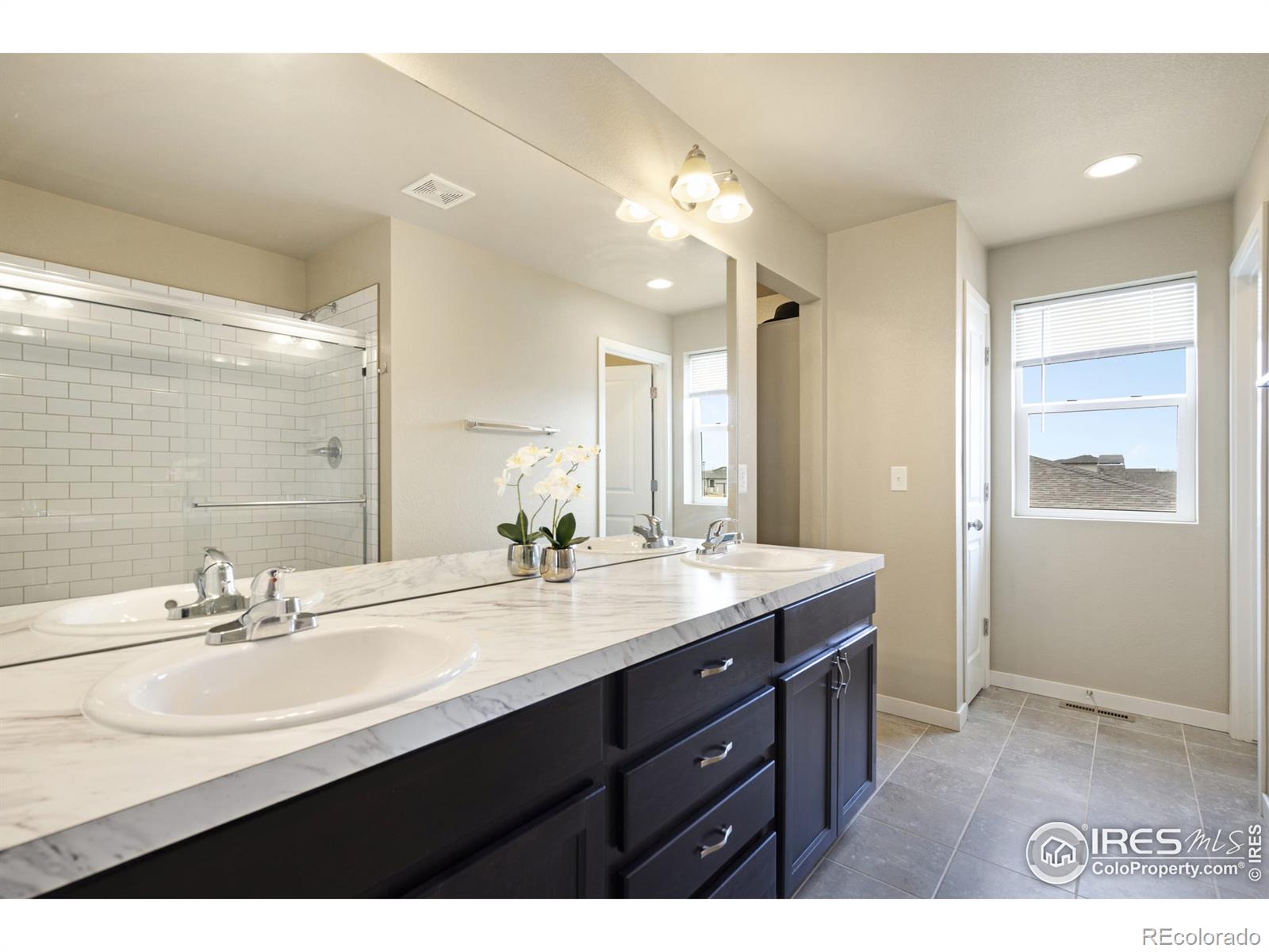 MLS Image #19 for 3816  river birch street,wellington, Colorado