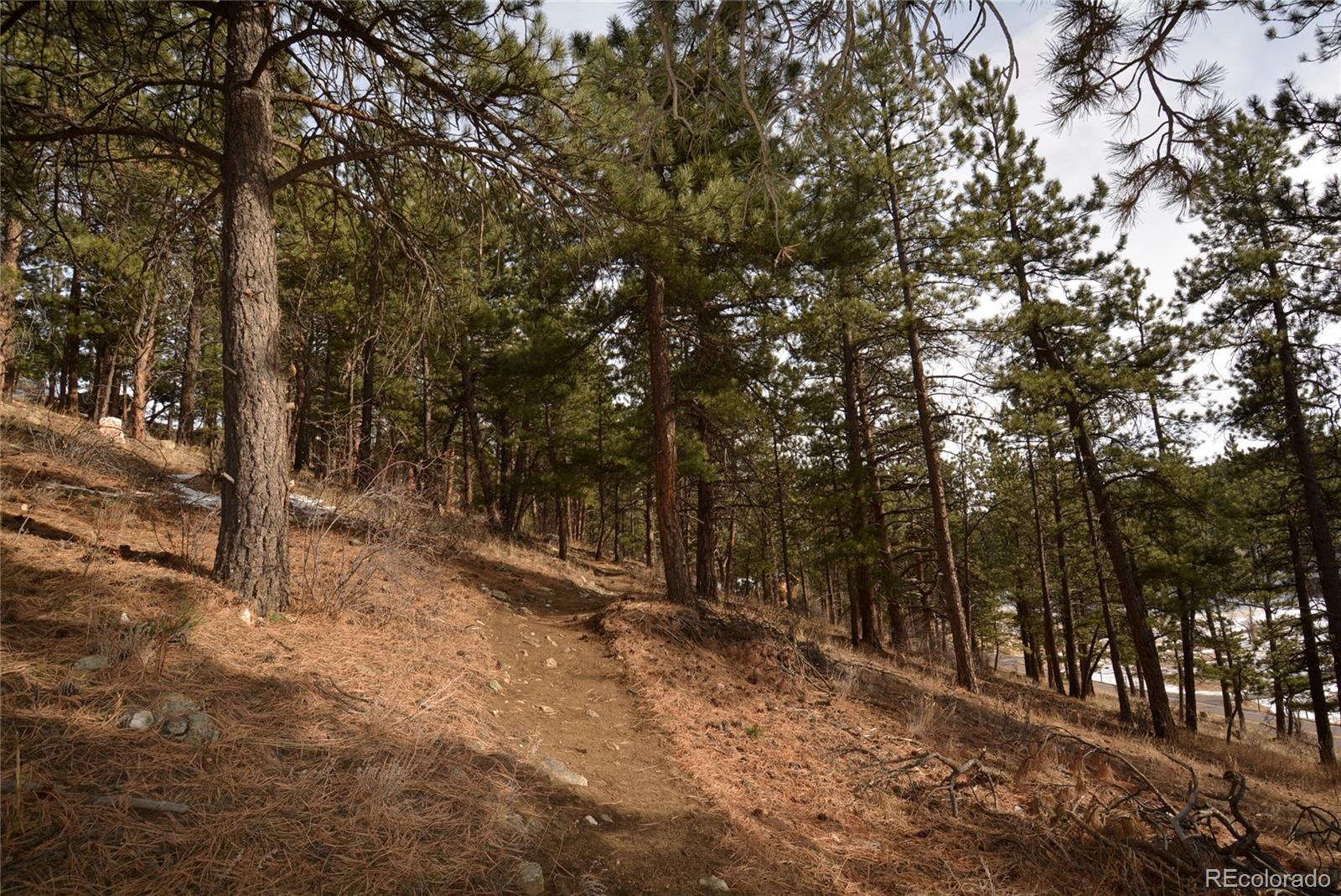 MLS Image #32 for 1960  kerr gulch road,evergreen, Colorado