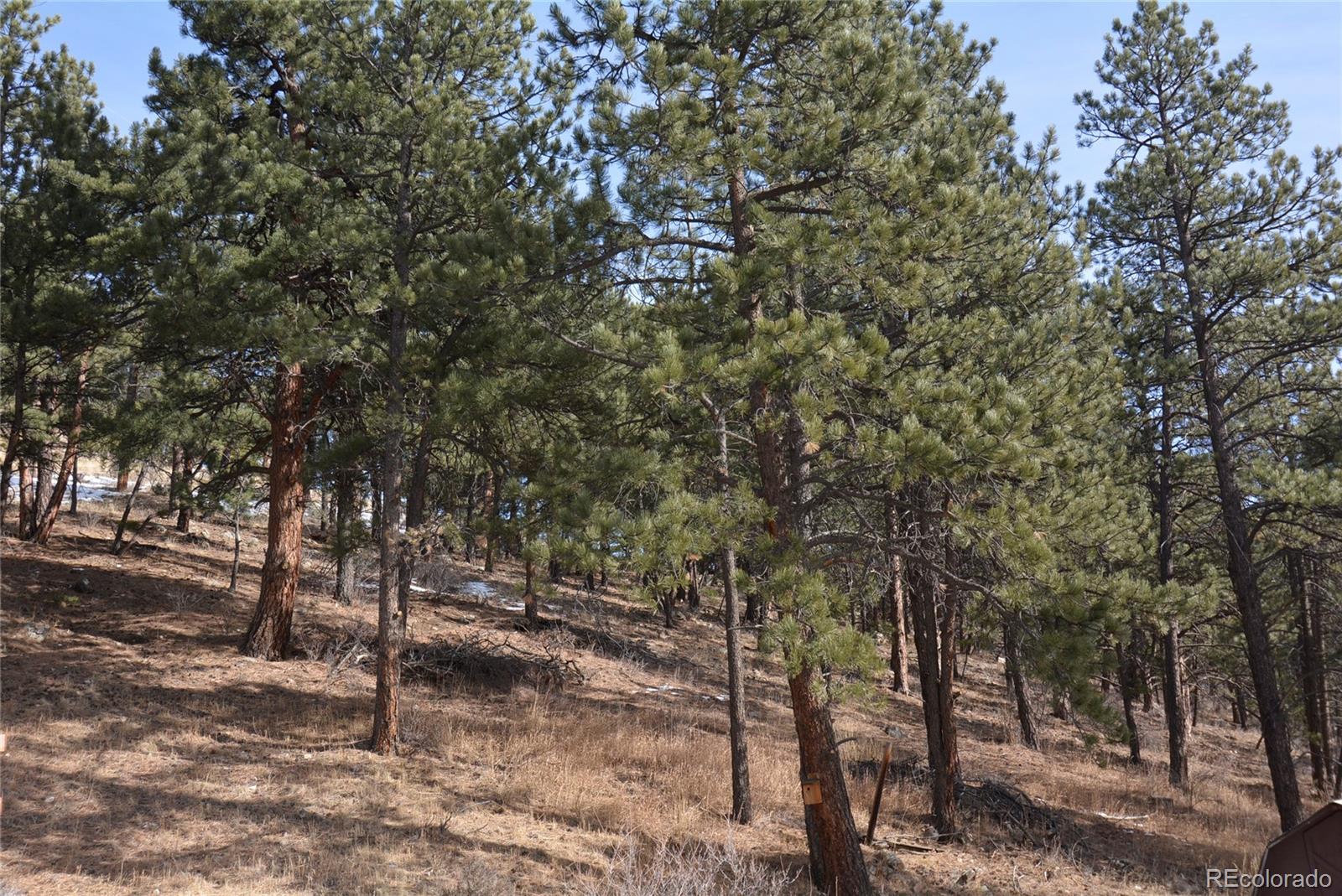 MLS Image #33 for 1960  kerr gulch road,evergreen, Colorado