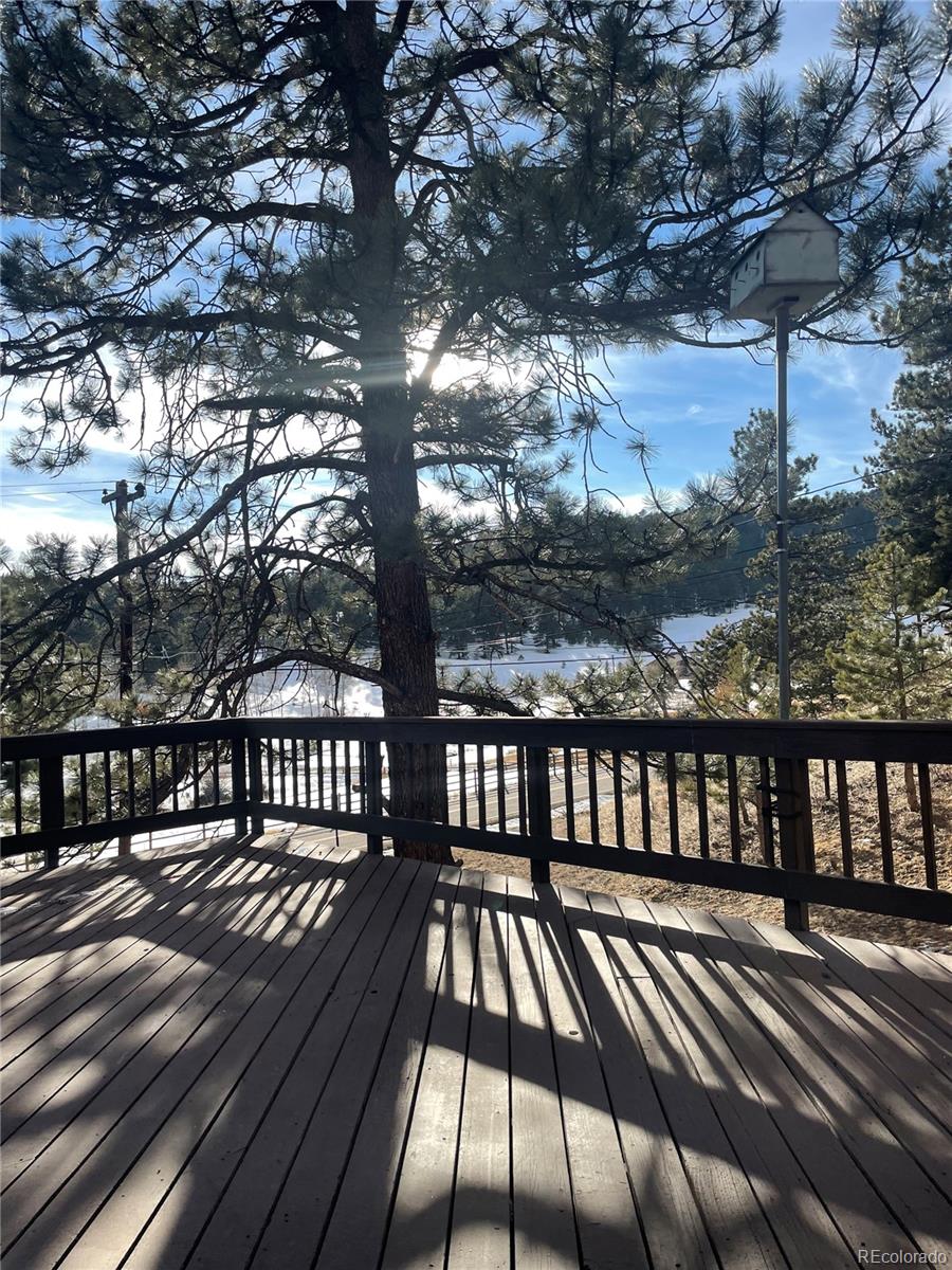 MLS Image #34 for 1960  kerr gulch road,evergreen, Colorado