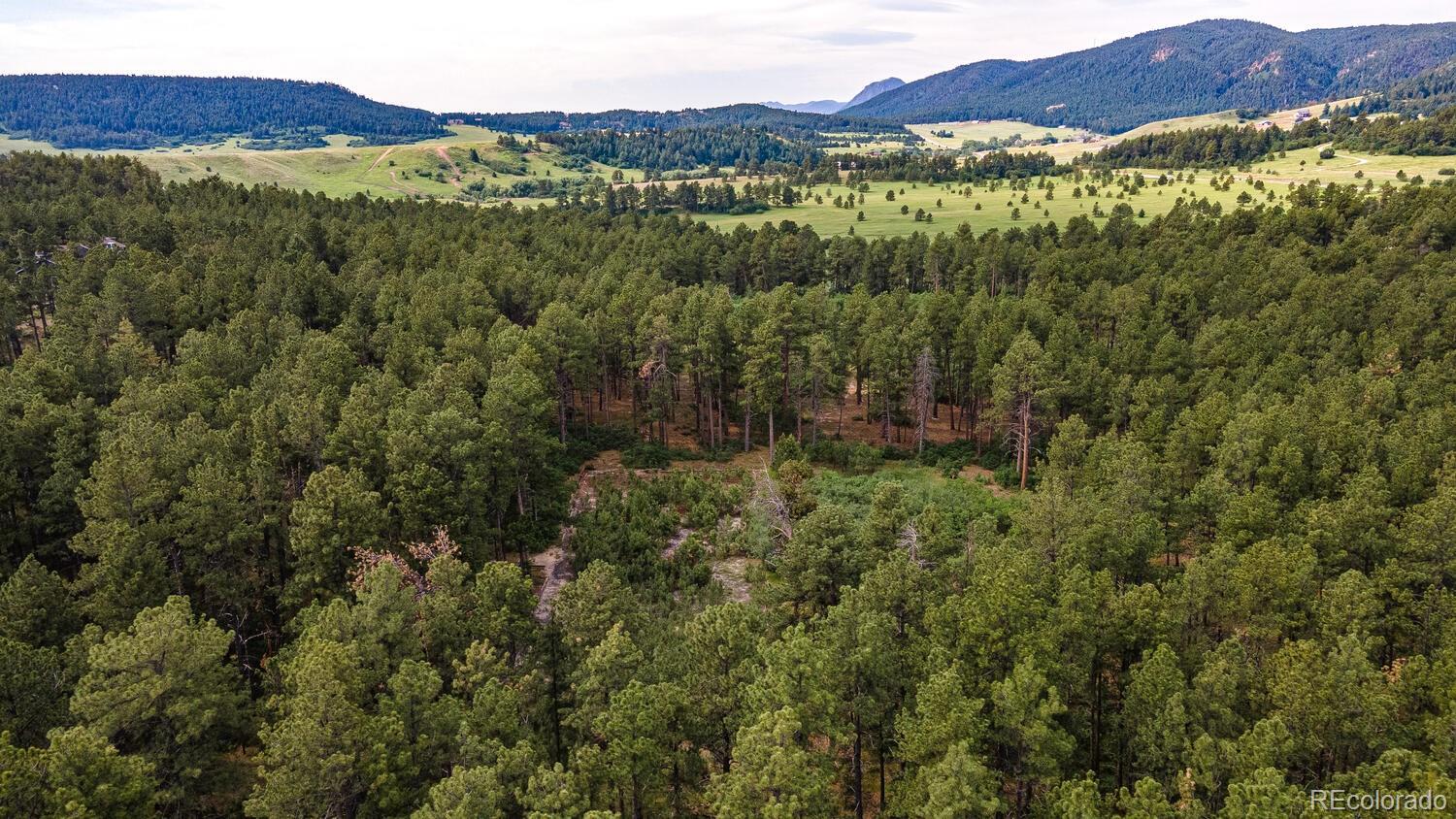 MLS Image #12 for 12721  greenland acre road,larkspur, Colorado