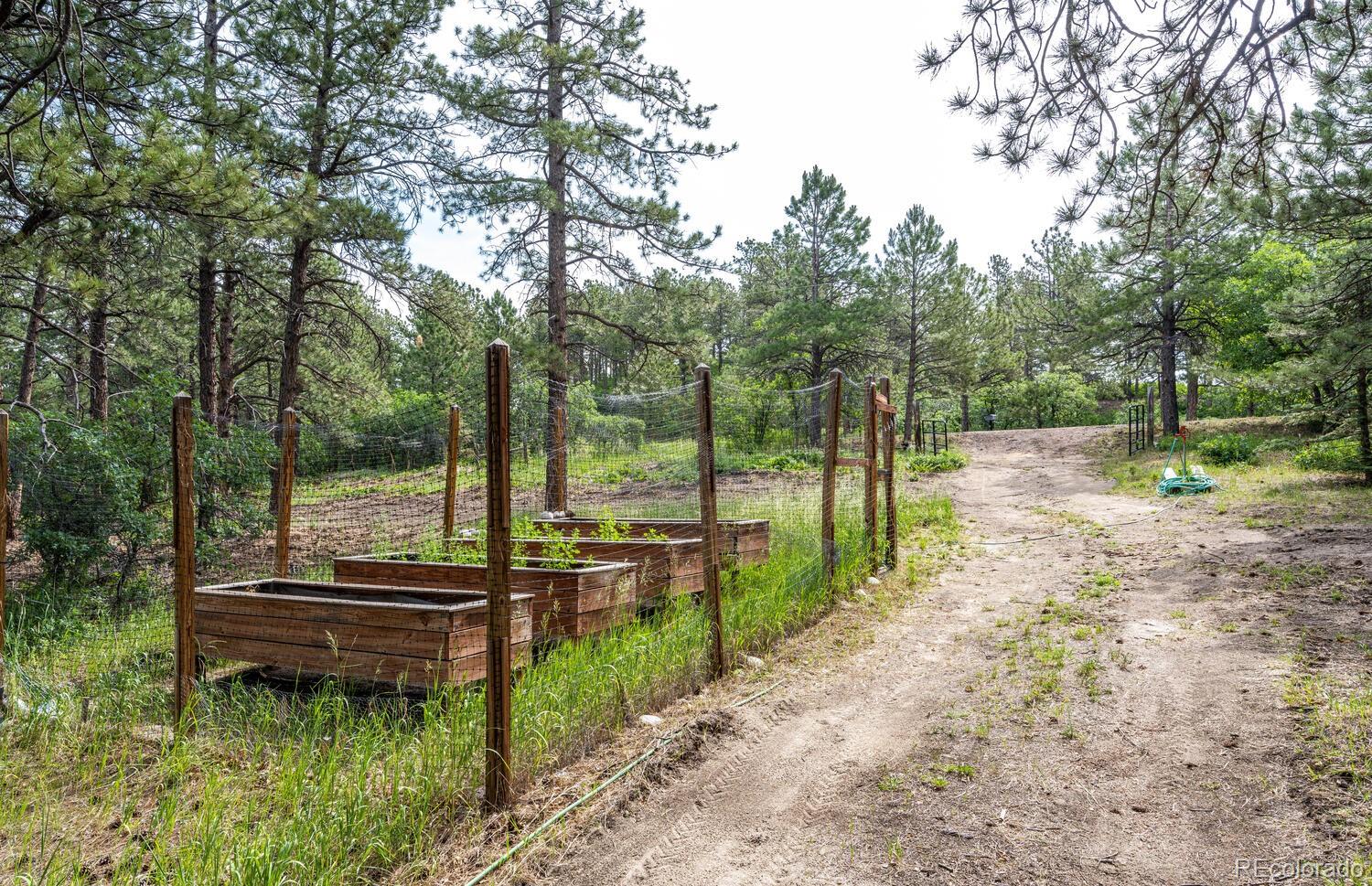MLS Image #37 for 12721  greenland acre road,larkspur, Colorado