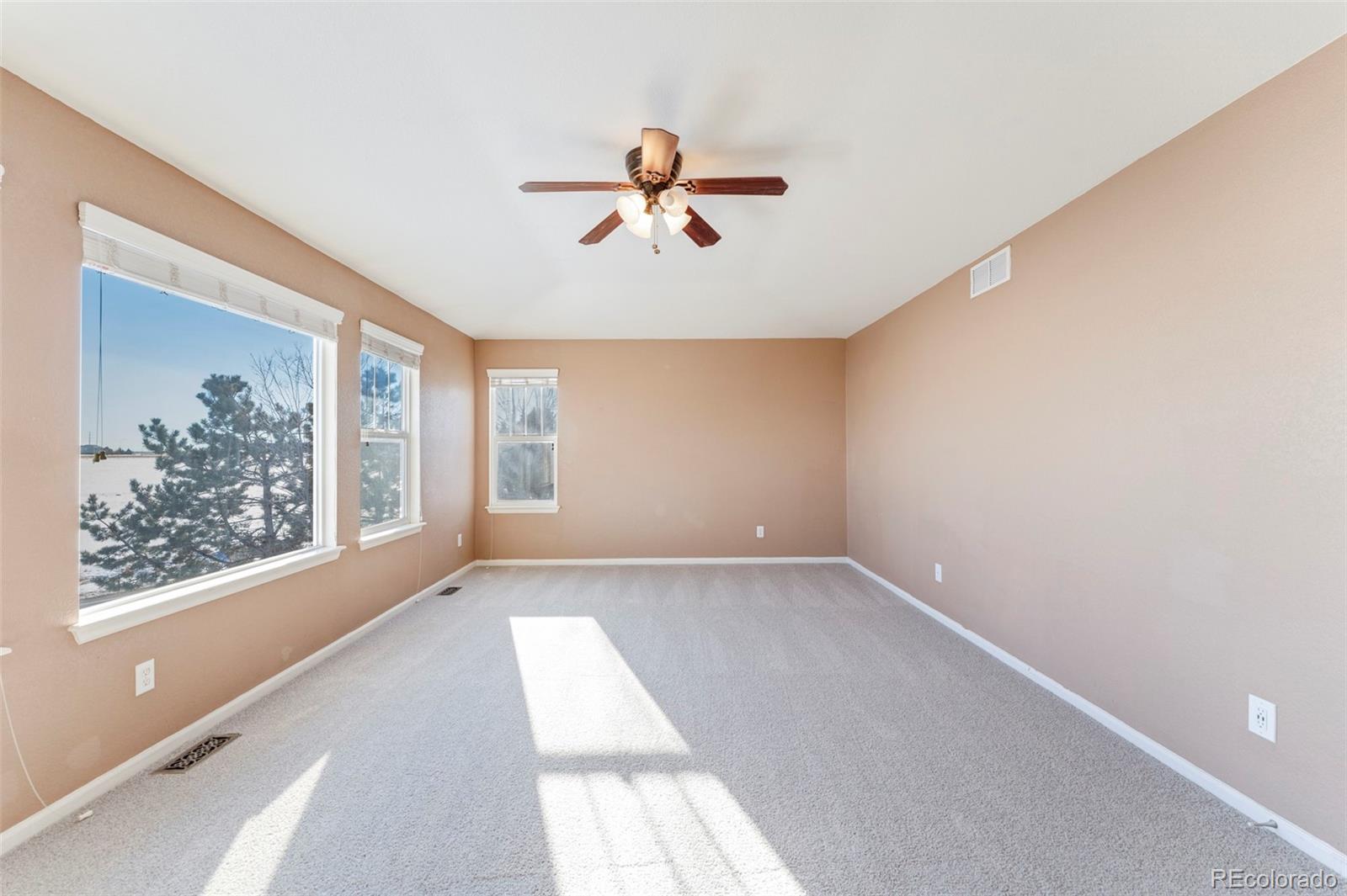 MLS Image #9 for 3989  el paso court,brighton, Colorado