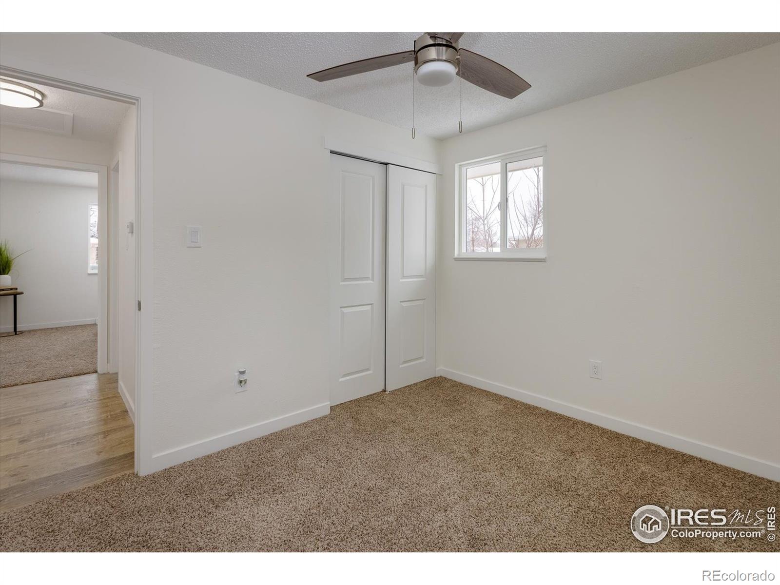 MLS Image #14 for 5271  alkire street,arvada, Colorado