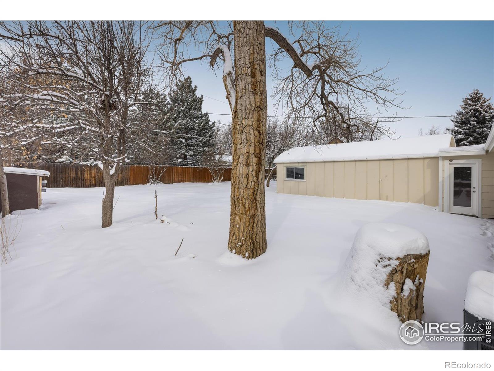 MLS Image #19 for 5271  alkire street,arvada, Colorado
