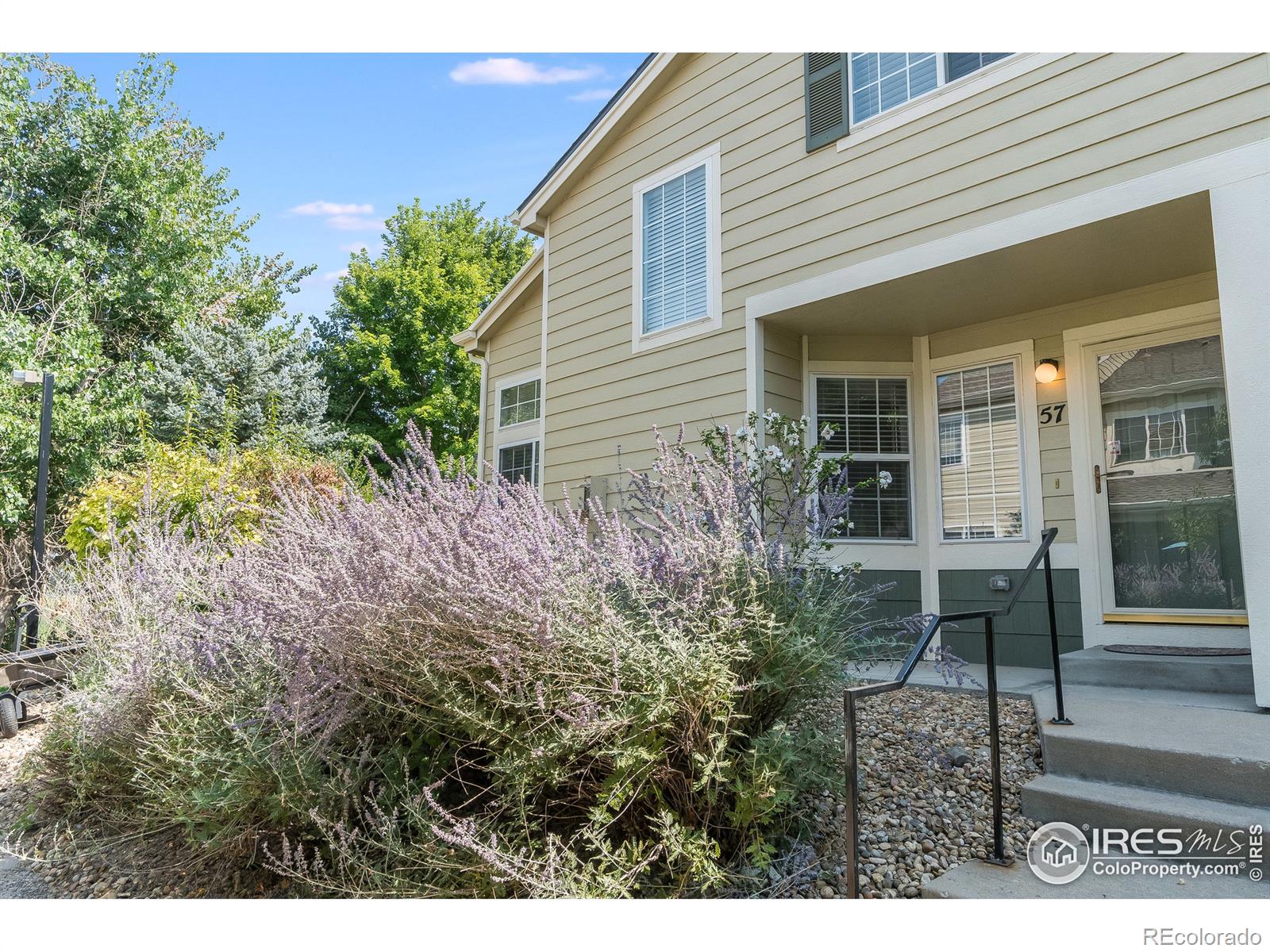 MLS Image #0 for 930  button rock drive,longmont, Colorado