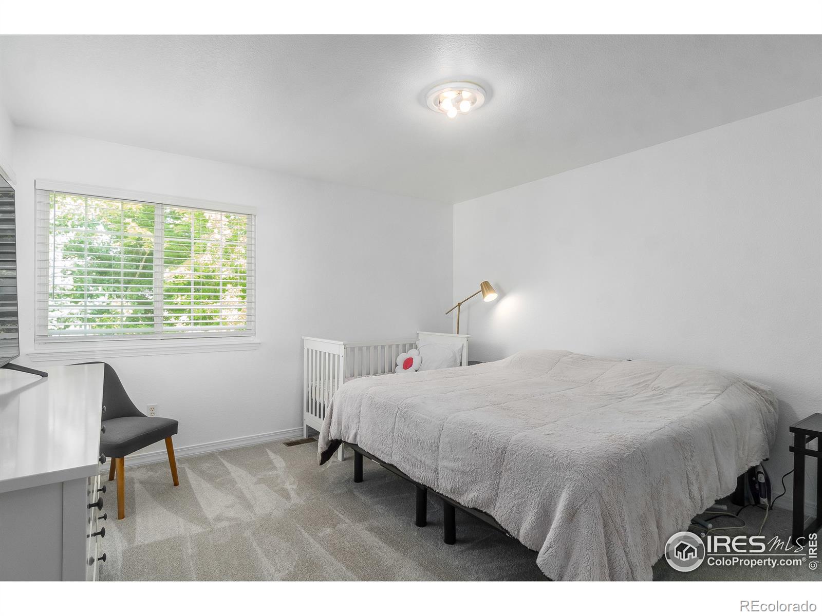 MLS Image #15 for 930  button rock drive,longmont, Colorado