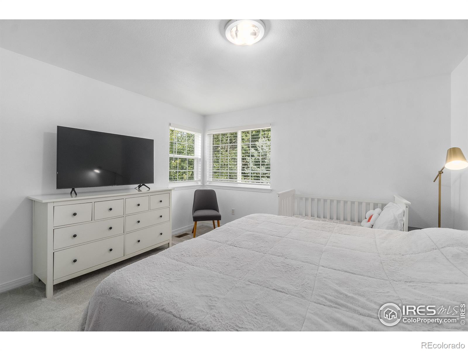 MLS Image #16 for 930  button rock drive,longmont, Colorado