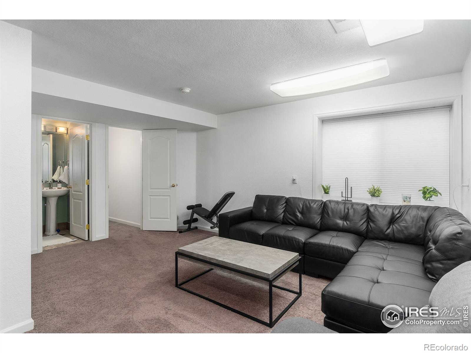 MLS Image #18 for 930  button rock drive,longmont, Colorado