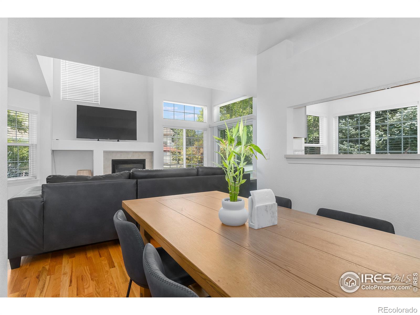 MLS Image #4 for 930  button rock drive,longmont, Colorado