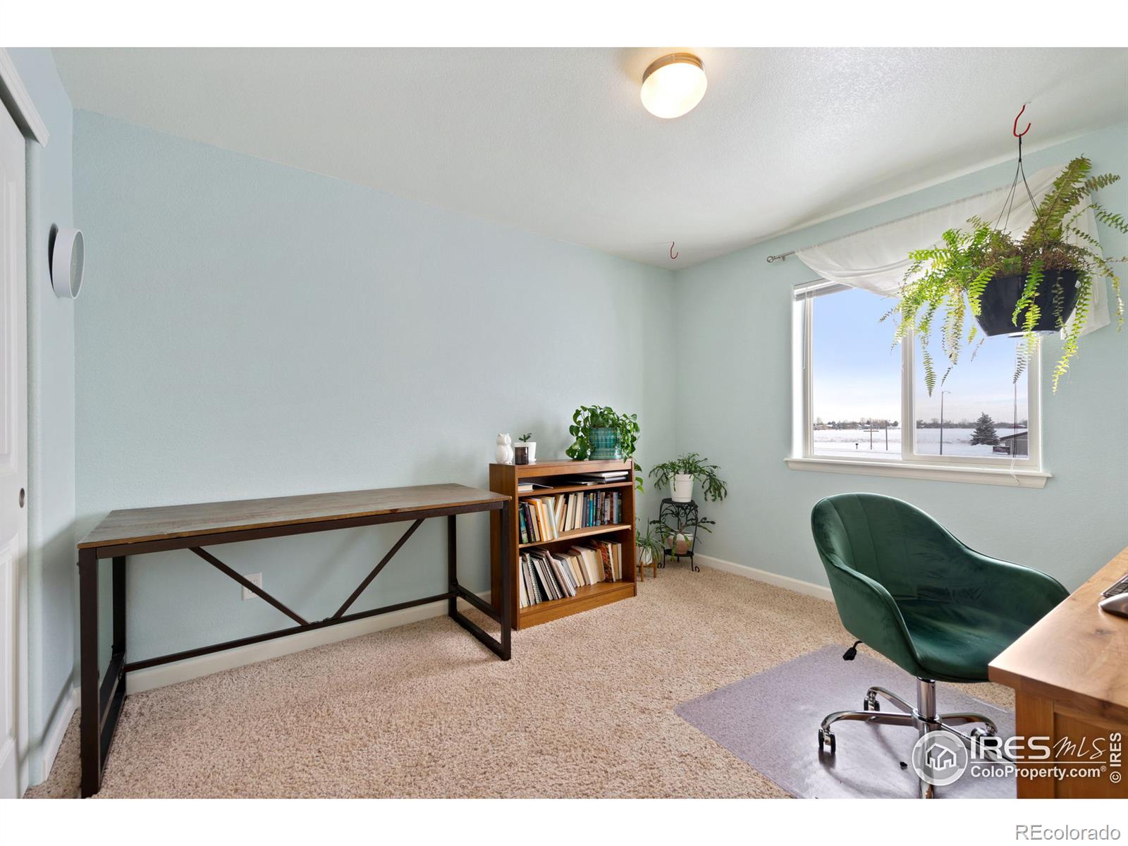 MLS Image #13 for 3147  alybar drive,wellington, Colorado