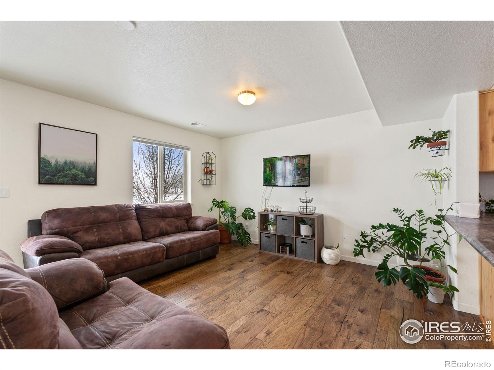 MLS Image #2 for 3147  alybar drive,wellington, Colorado
