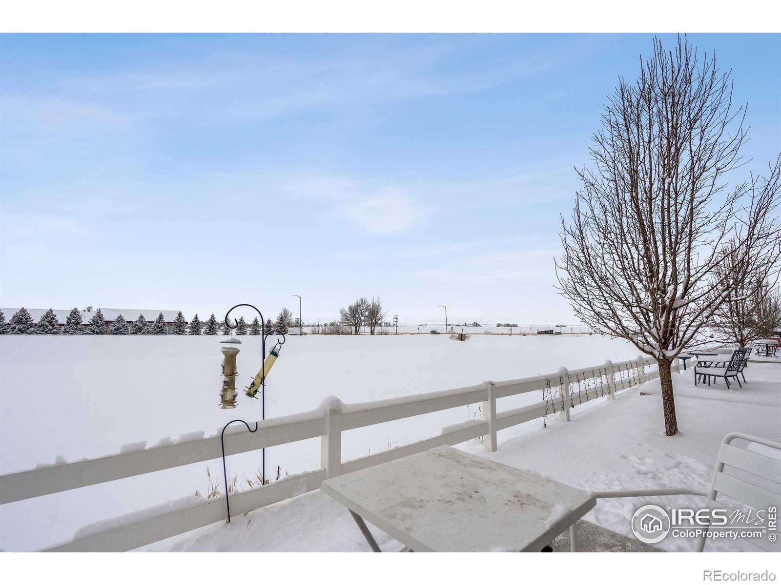 MLS Image #8 for 3147  alybar drive,wellington, Colorado