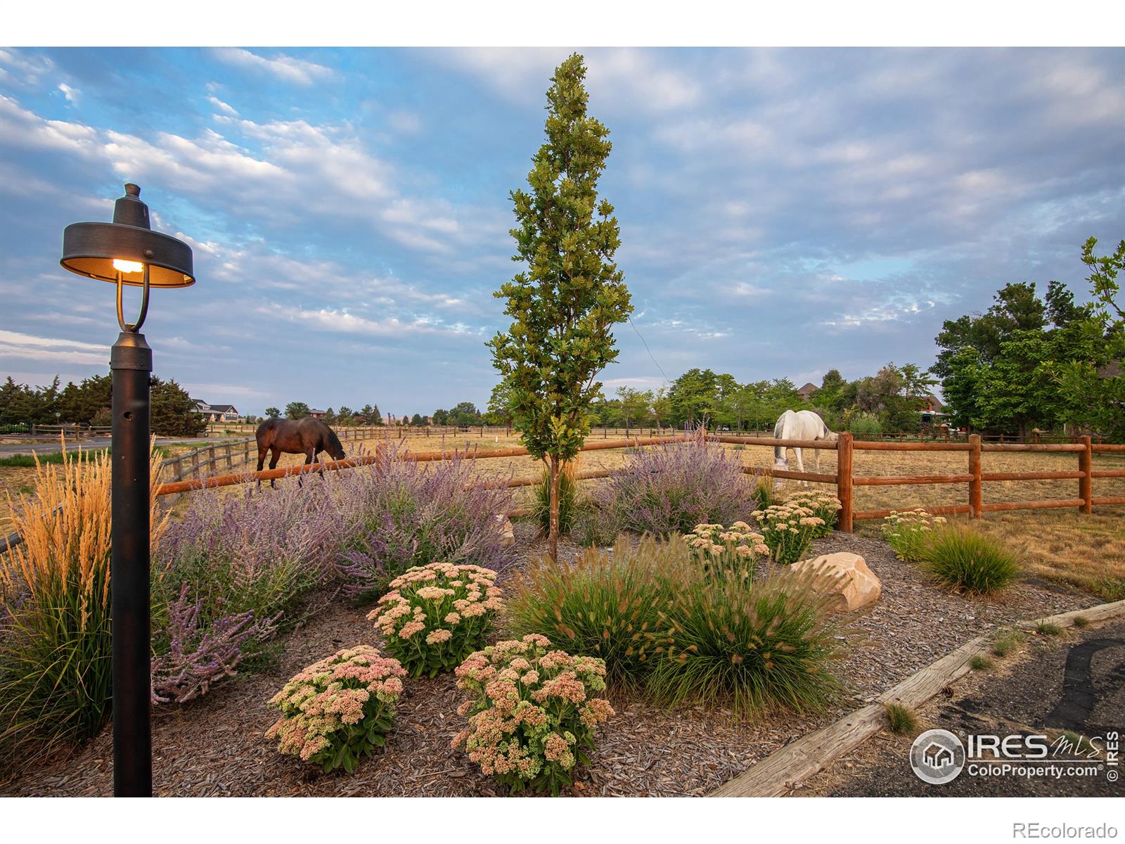 MLS Image #19 for 9421  gunbarrel ridge road,boulder, Colorado