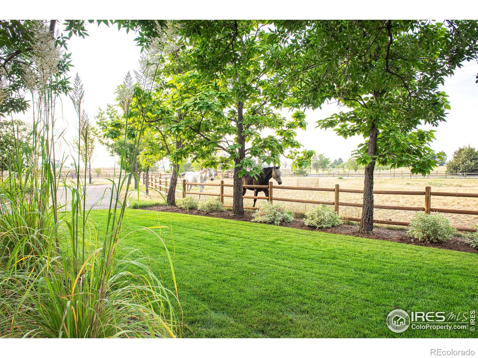 MLS Image #33 for 9421  gunbarrel ridge road,boulder, Colorado