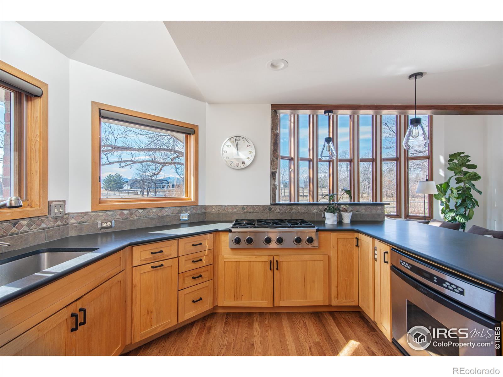 MLS Image #7 for 9421  gunbarrel ridge road,boulder, Colorado