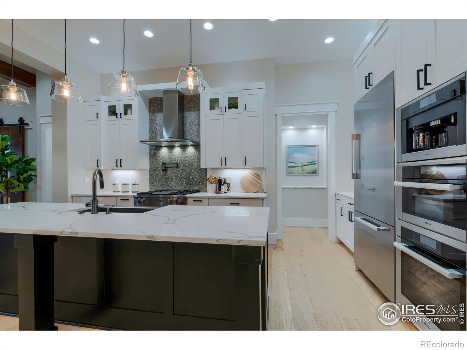 MLS Image #13 for 2702  bluewater road,berthoud, Colorado