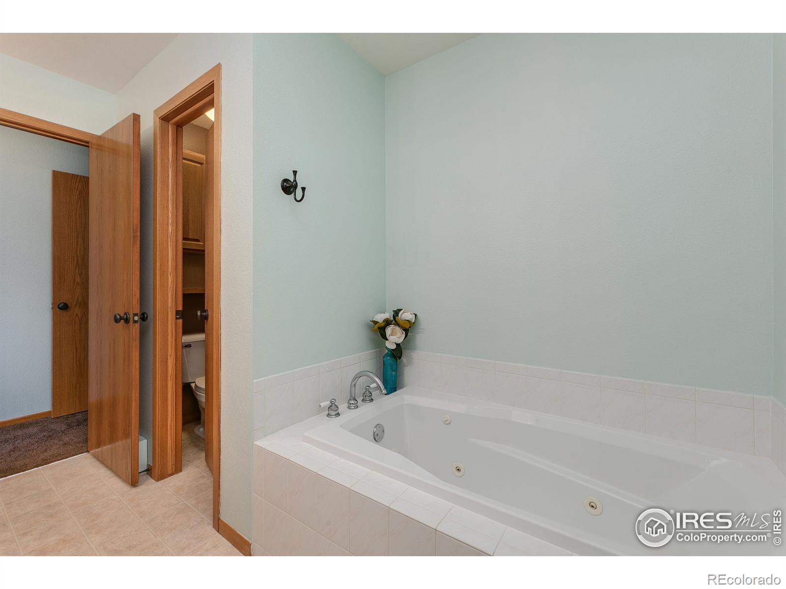 MLS Image #22 for 300  far view drive,estes park, Colorado