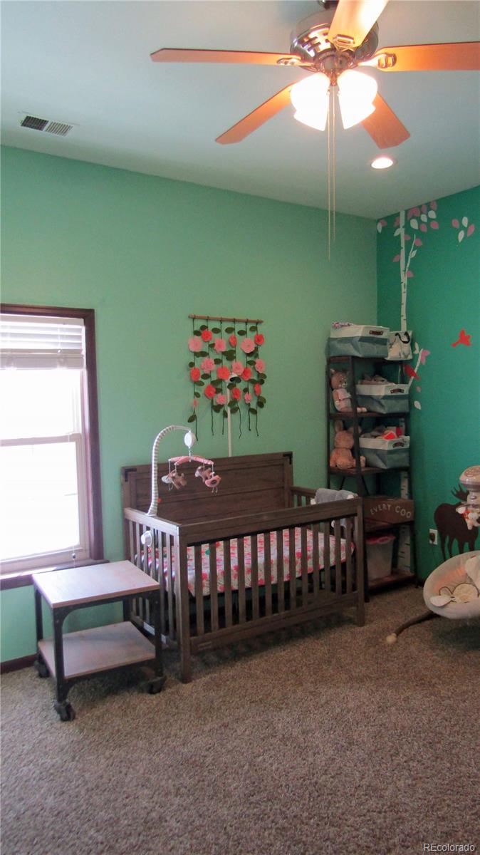 MLS Image #19 for 651  hoover circle,poncha springs, Colorado