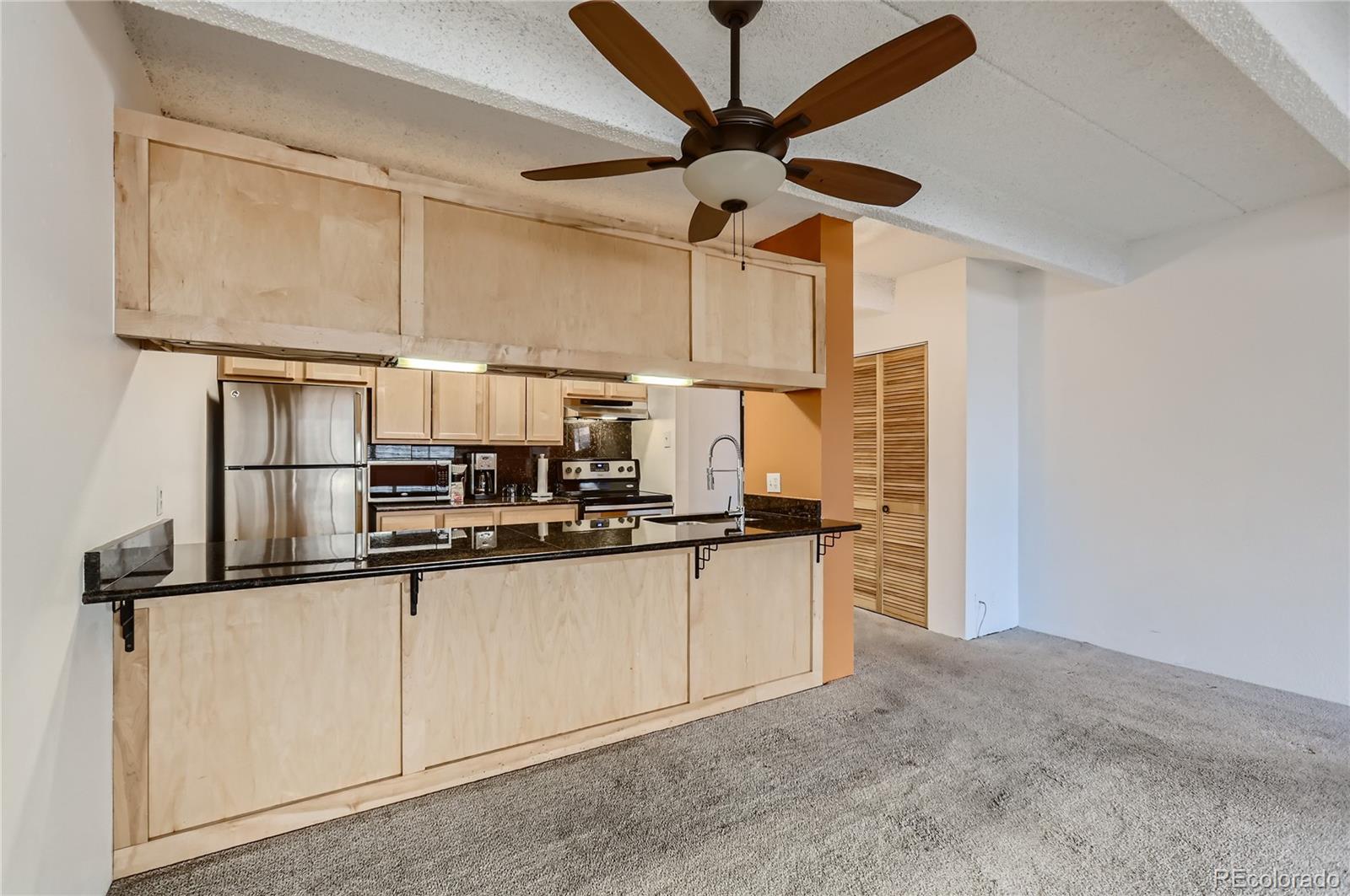 MLS Image #13 for 777 n washington street,denver, Colorado