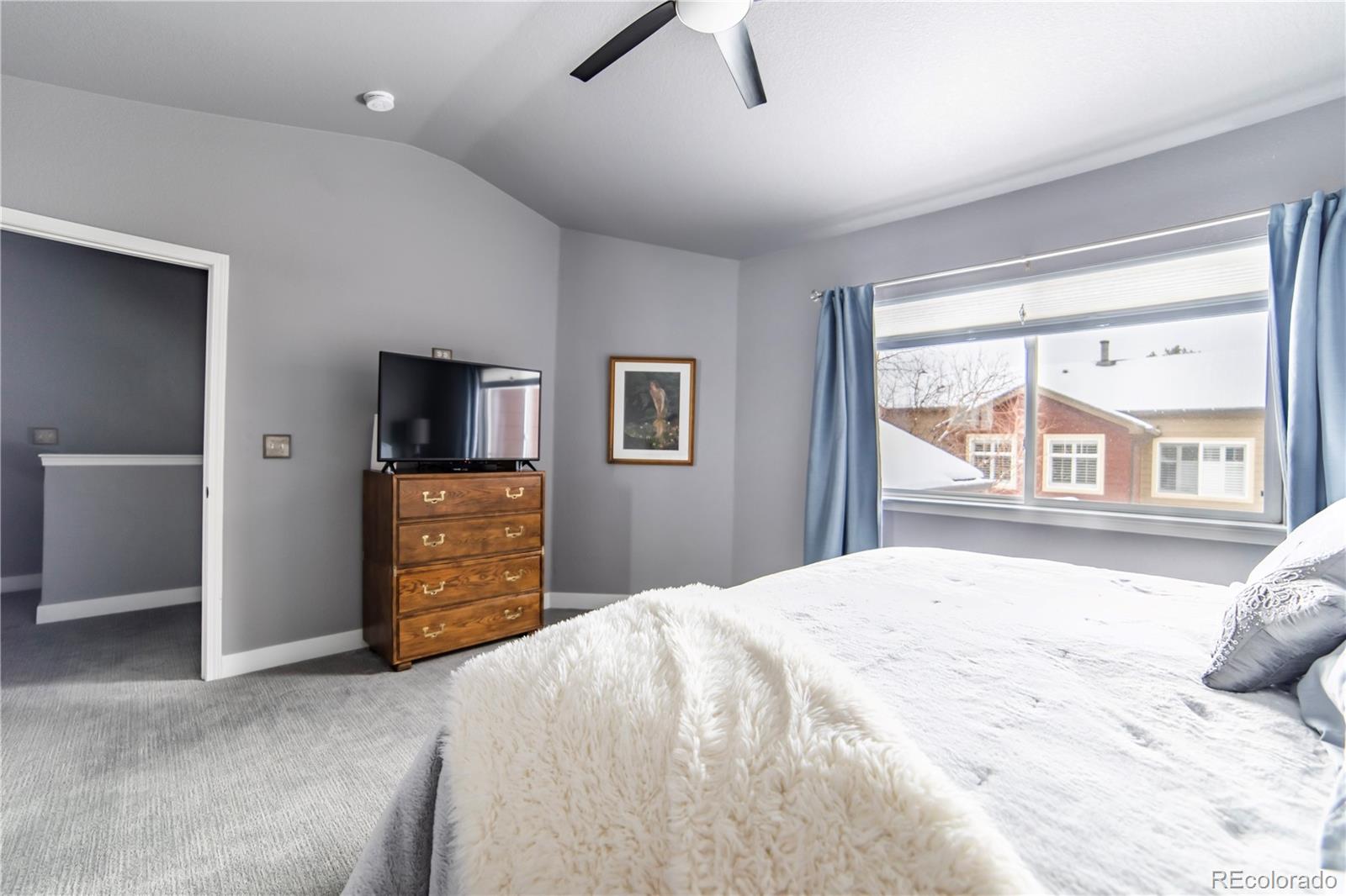 MLS Image #20 for 6478  silver mesa drive,highlands ranch, Colorado