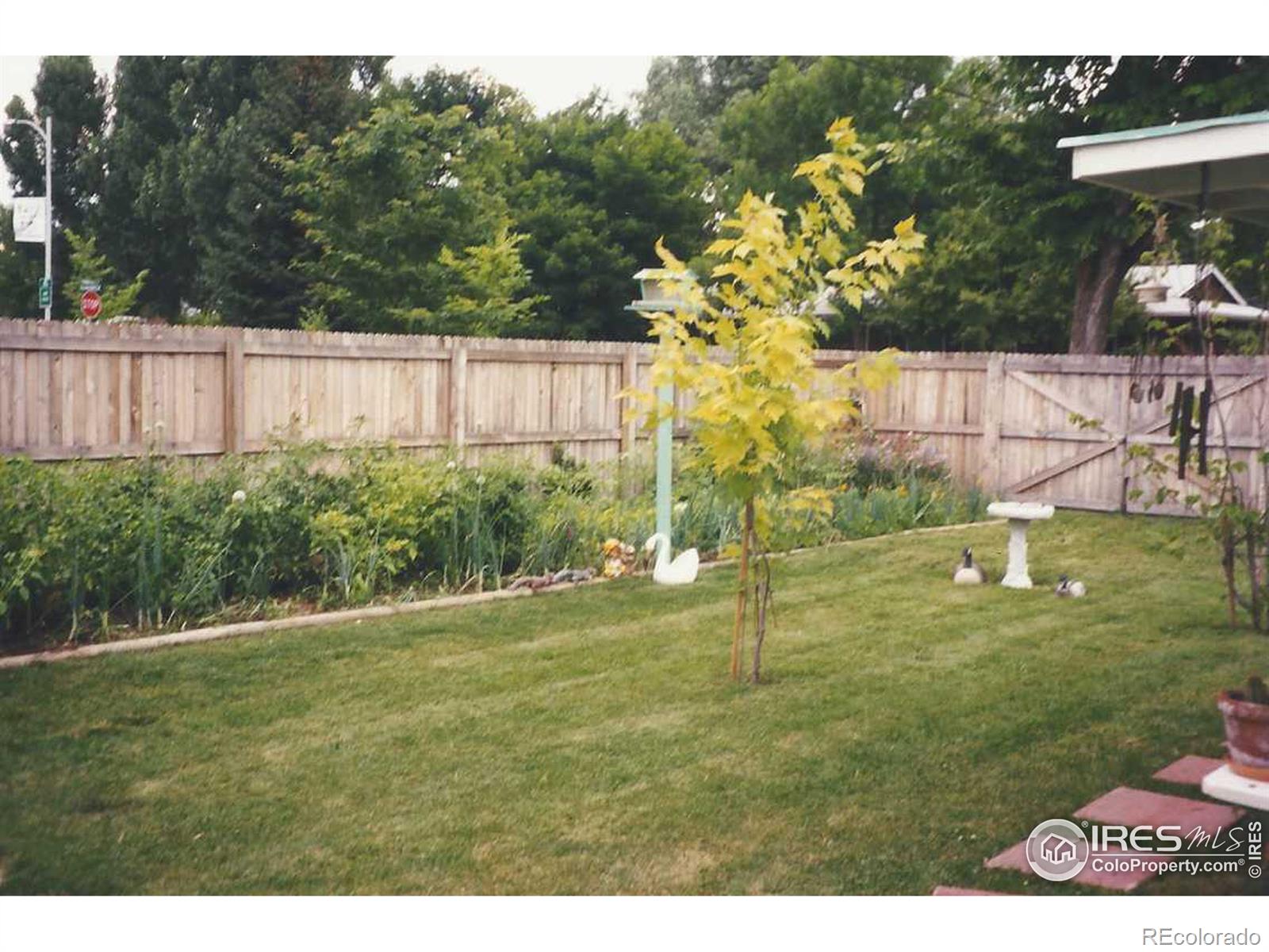 MLS Image #3 for 1101  hillcrest drive,fort collins, Colorado