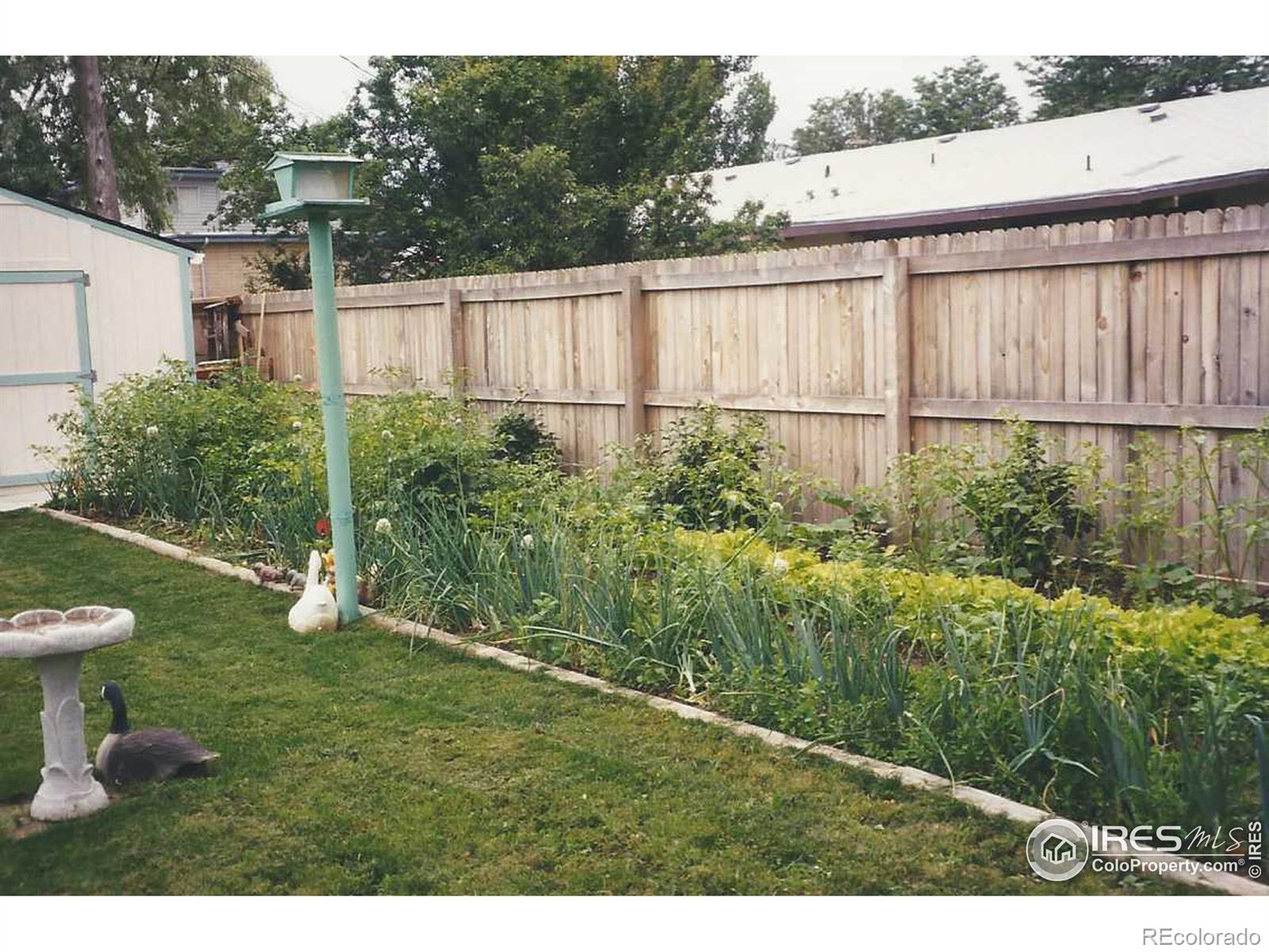 MLS Image #4 for 1101  hillcrest drive,fort collins, Colorado