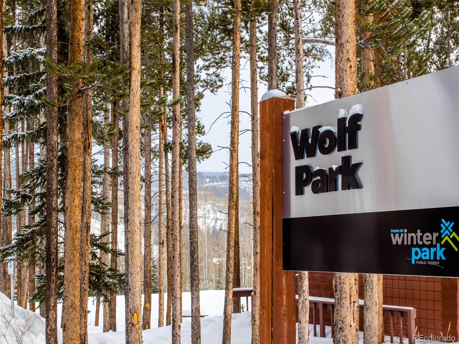 MLS Image #38 for 285  king crossing road,winter park, Colorado