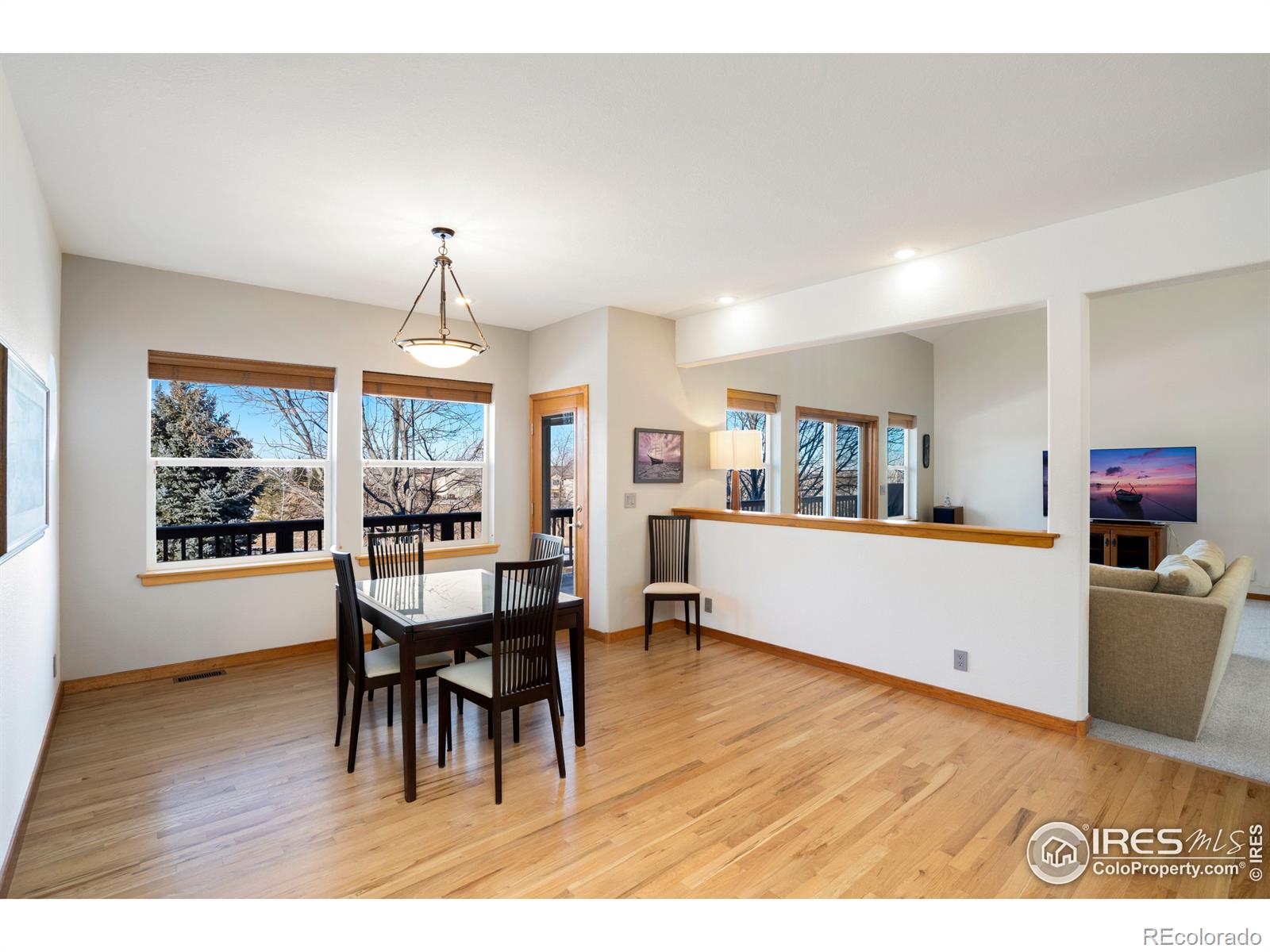 MLS Image #13 for 3526  golden currant boulevard,fort collins, Colorado