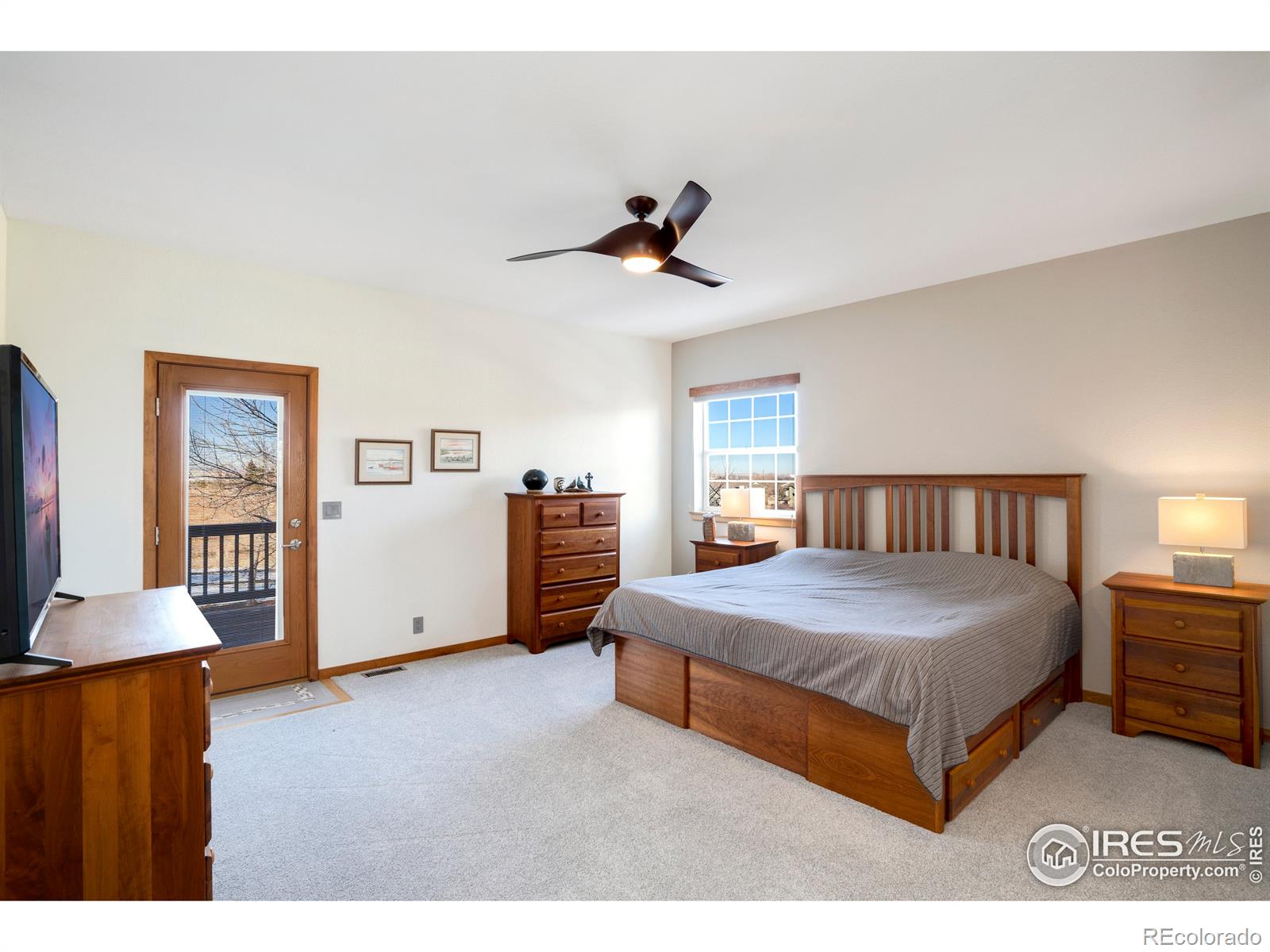 MLS Image #15 for 3526  golden currant boulevard,fort collins, Colorado