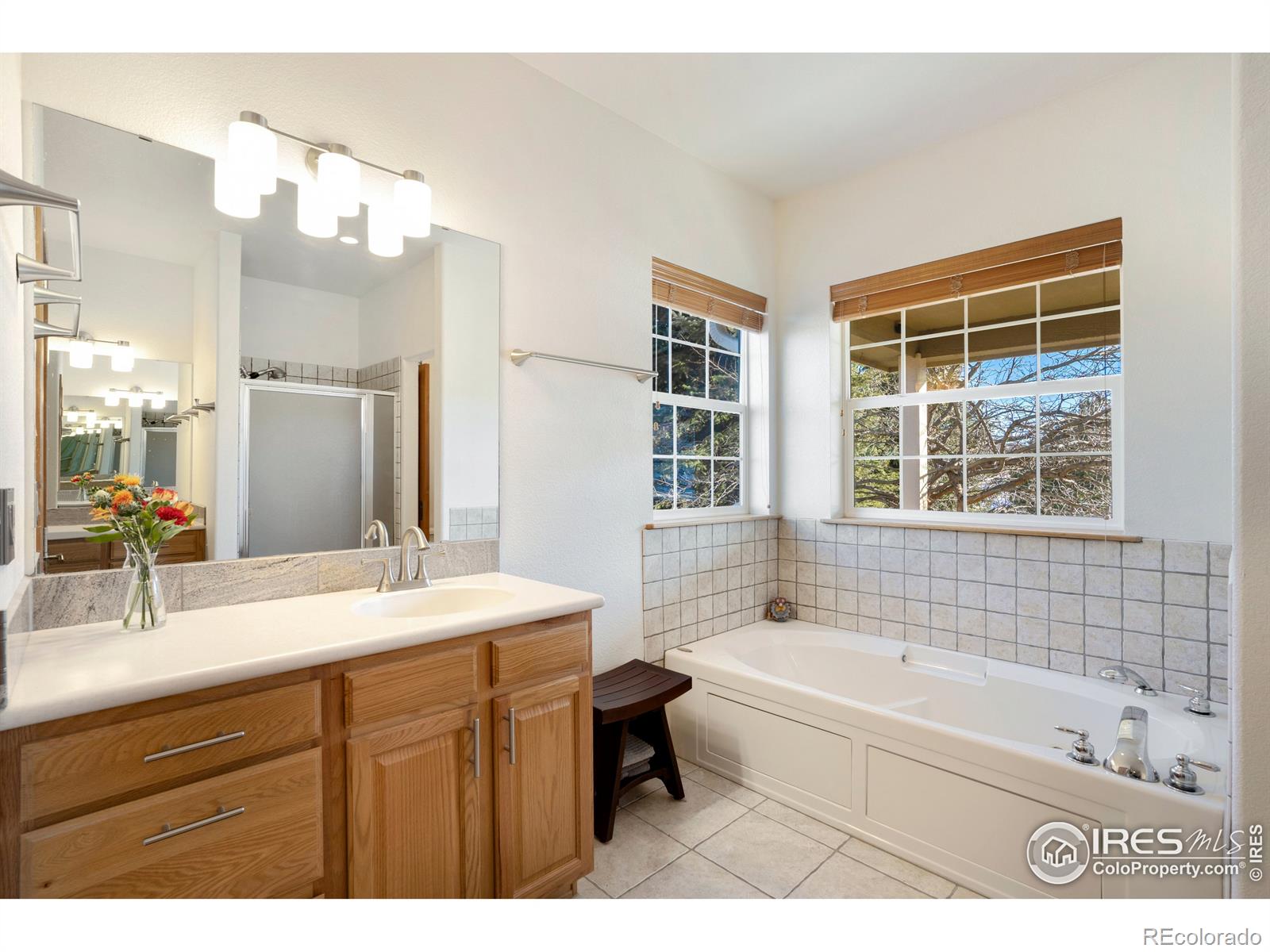 MLS Image #16 for 3526  golden currant boulevard,fort collins, Colorado