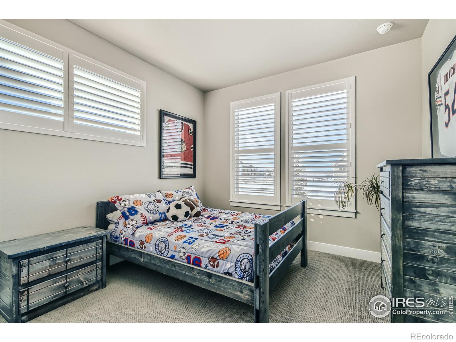 MLS Image #13 for 555  talons reach run,berthoud, Colorado