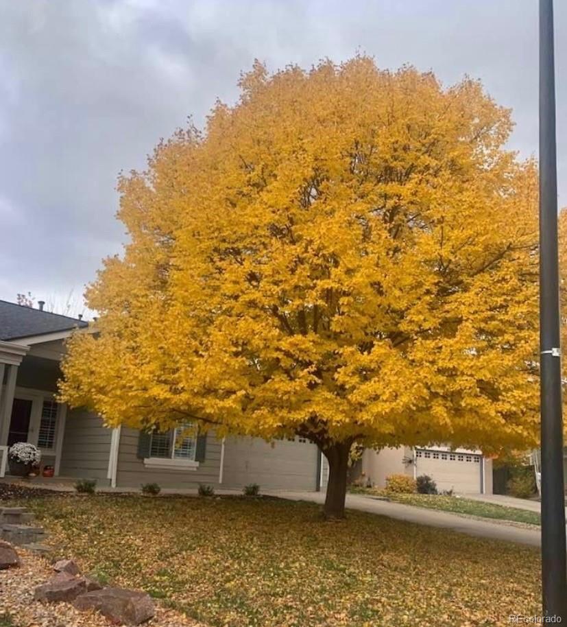 Report Image for 20158 E Prentice Place,Centennial, Colorado