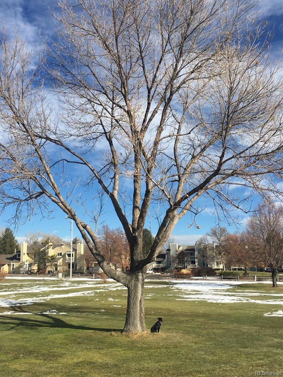MLS Image #27 for 933  reynolds farm lane,longmont, Colorado