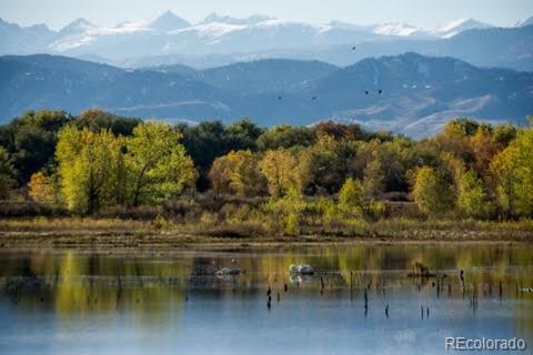 MLS Image #32 for 933  reynolds farm lane,longmont, Colorado
