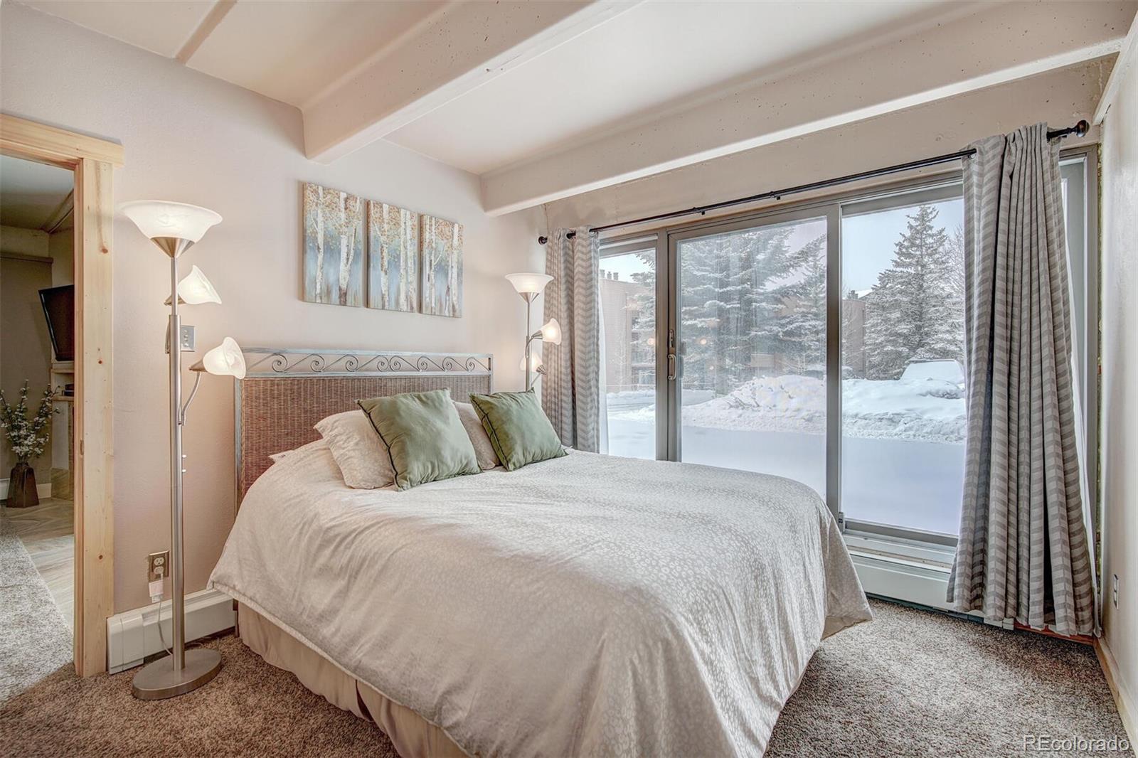 MLS Image #10 for 220 e la bonte street,dillon, Colorado